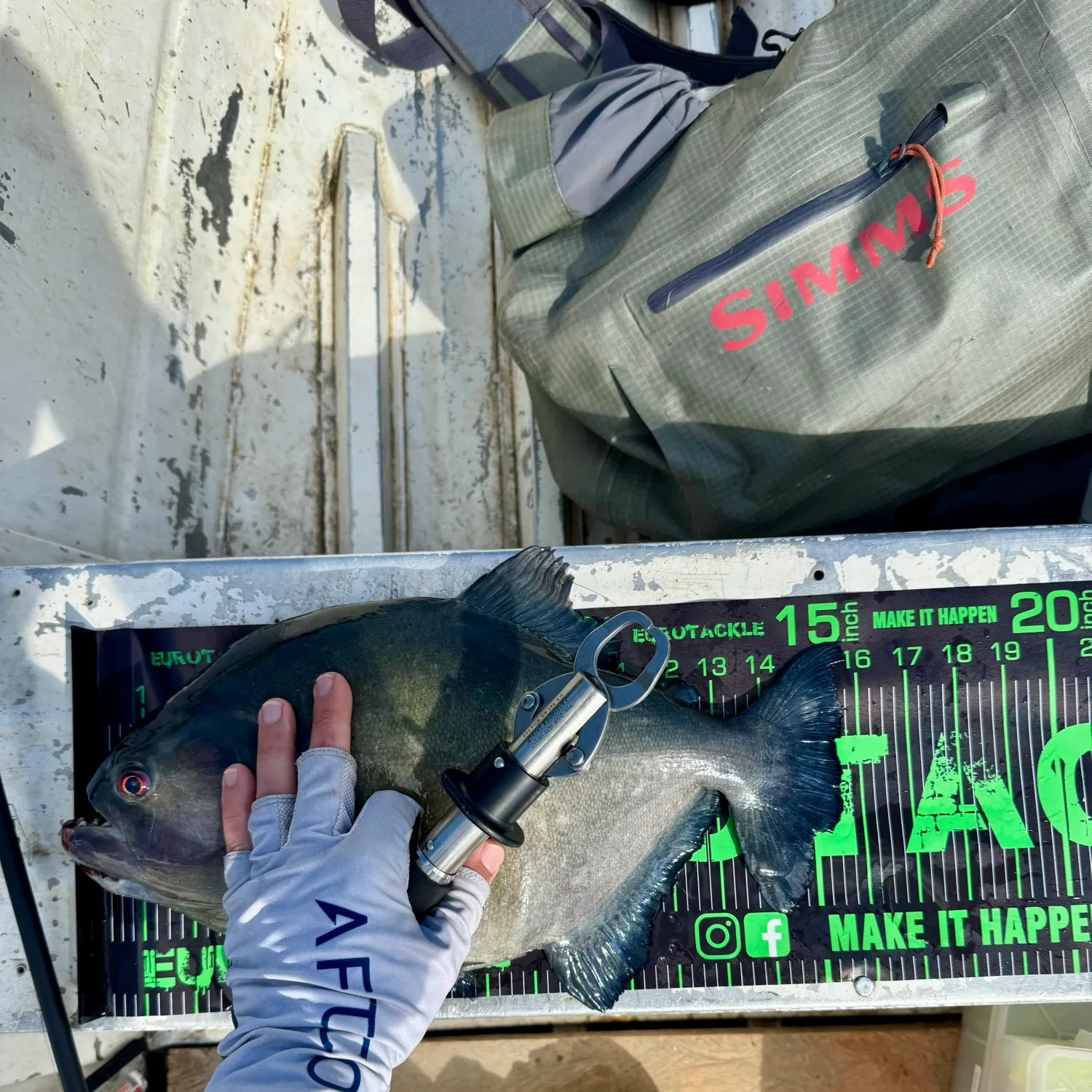 The most recent Redeye piranha catches on Fishbrain