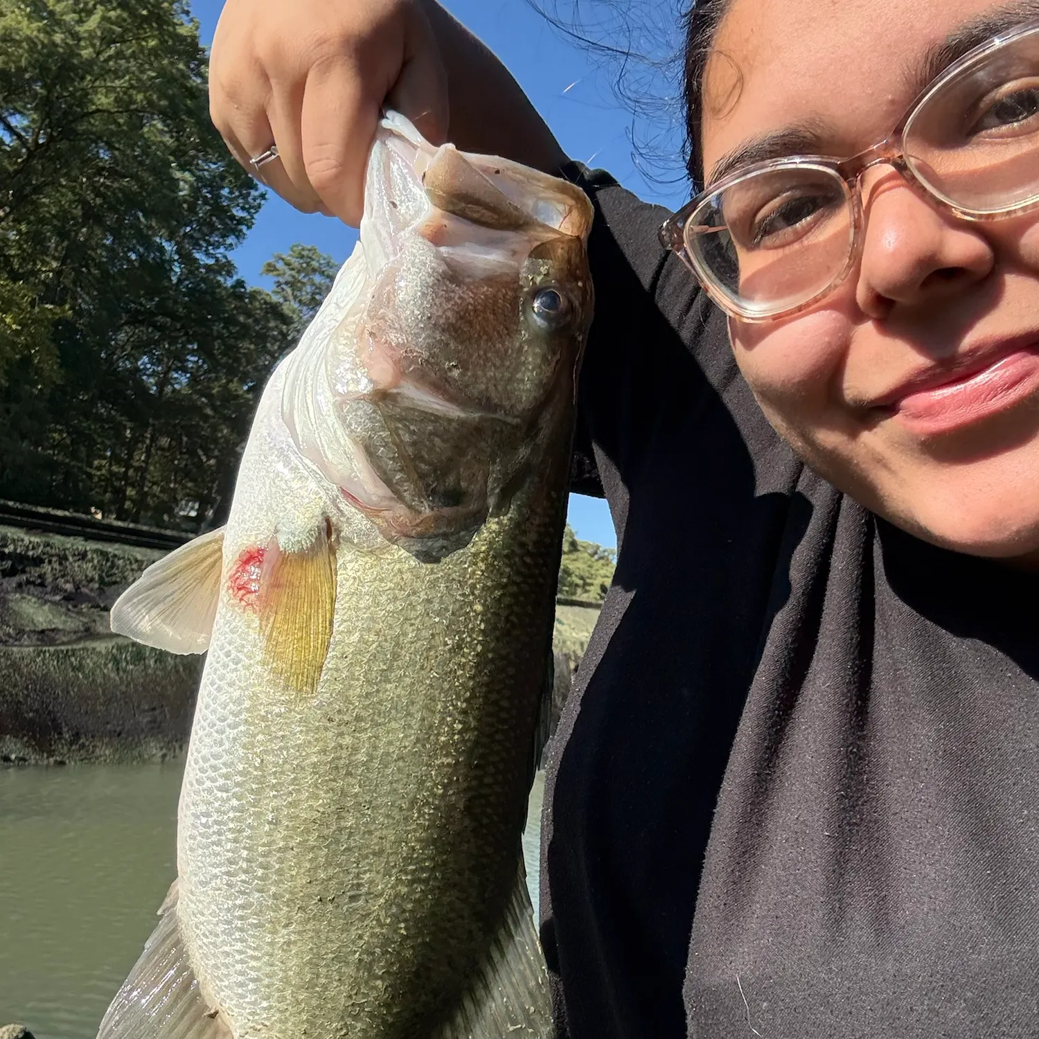 Largemouth bass caught on Fishbrain