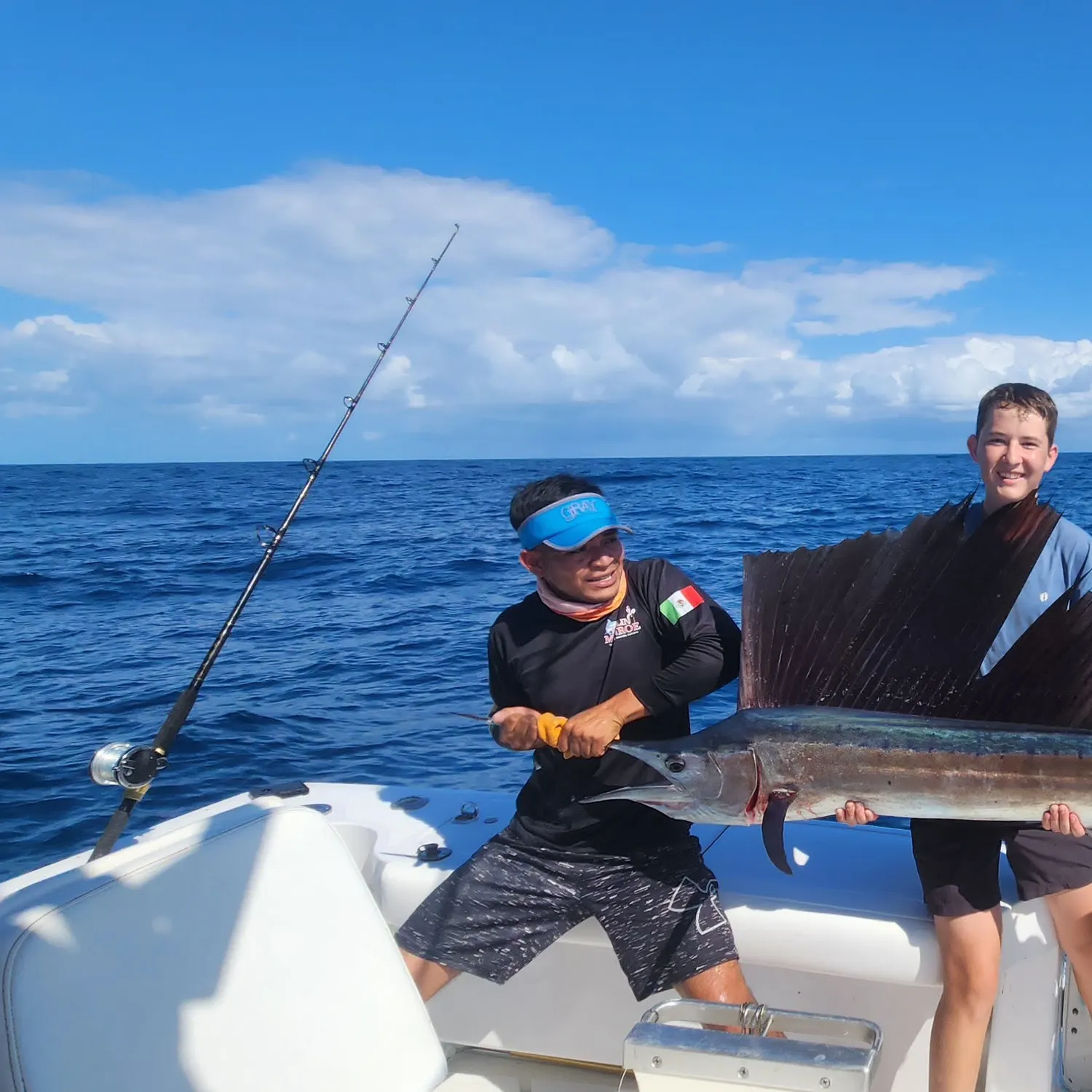 The most recent Atlantic sailfish catches on Fishbrain