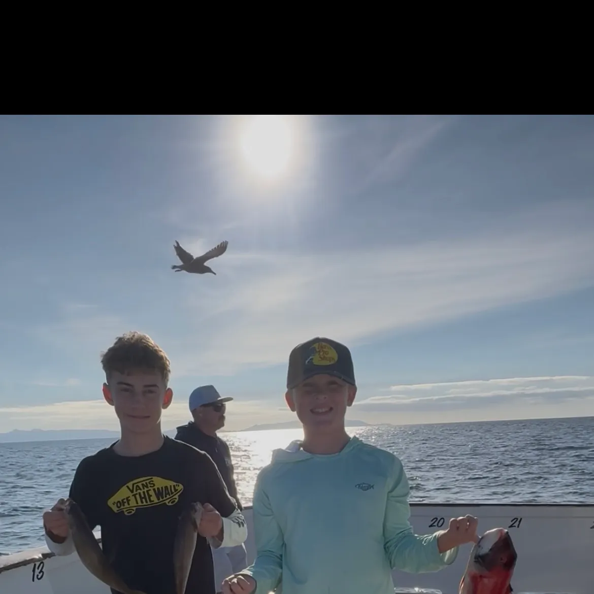 The most recent Smallmouth yellowfish catches on Fishbrain