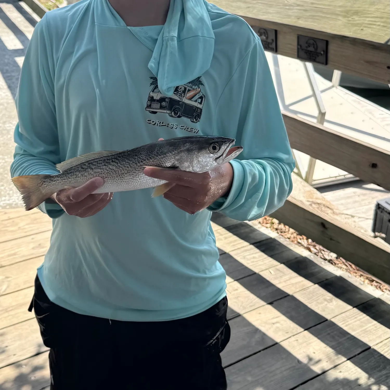 The most recent Gray weakfish catches on Fishbrain