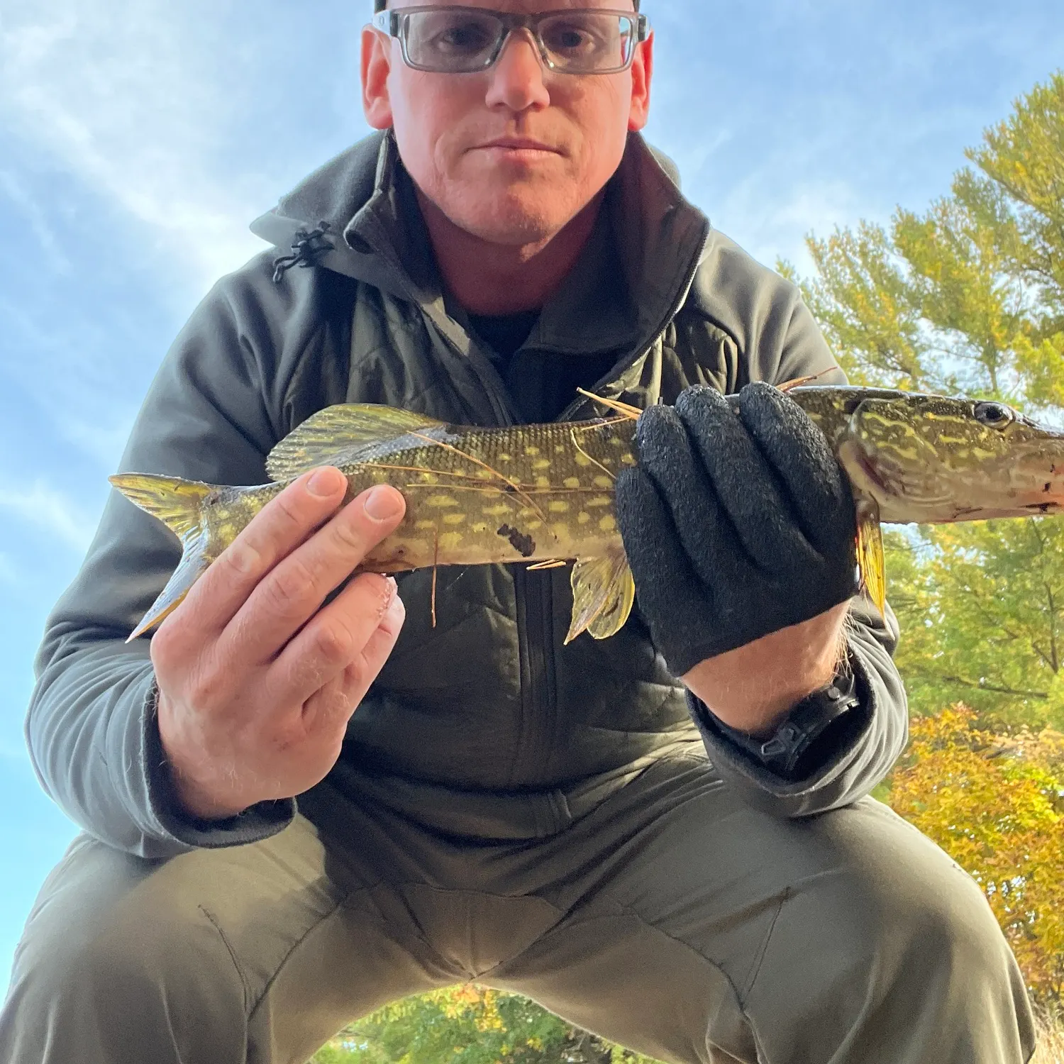 Northern pike caught on Fishbrain