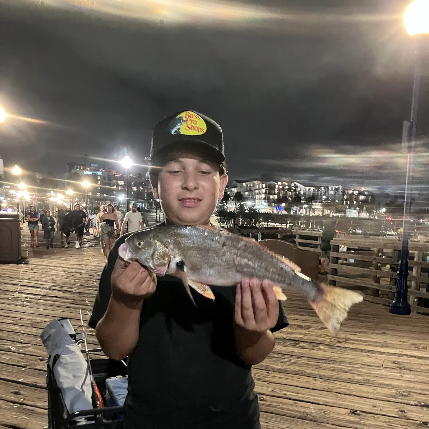 The most recent Spotfin croaker catches on Fishbrain