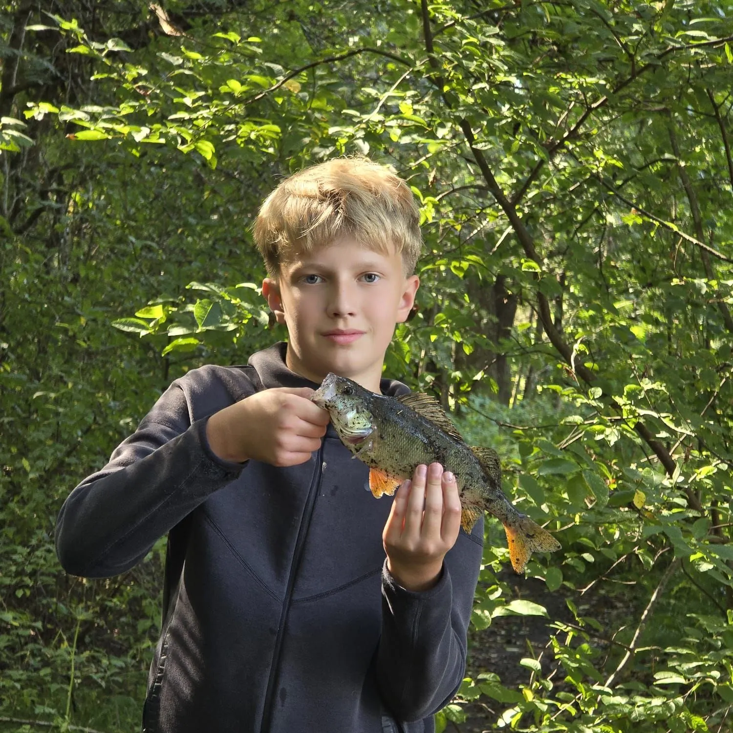 European perch caught on Fishbrain