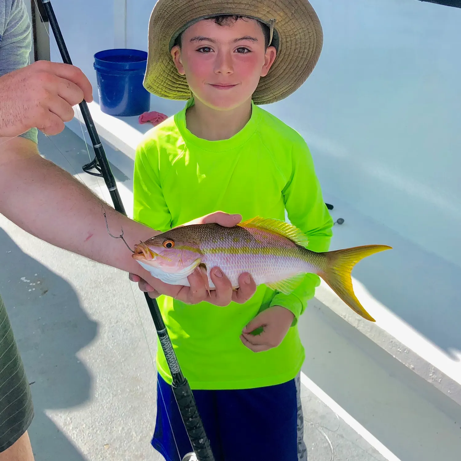 The most recent Yellowtail snapper catches on Fishbrain