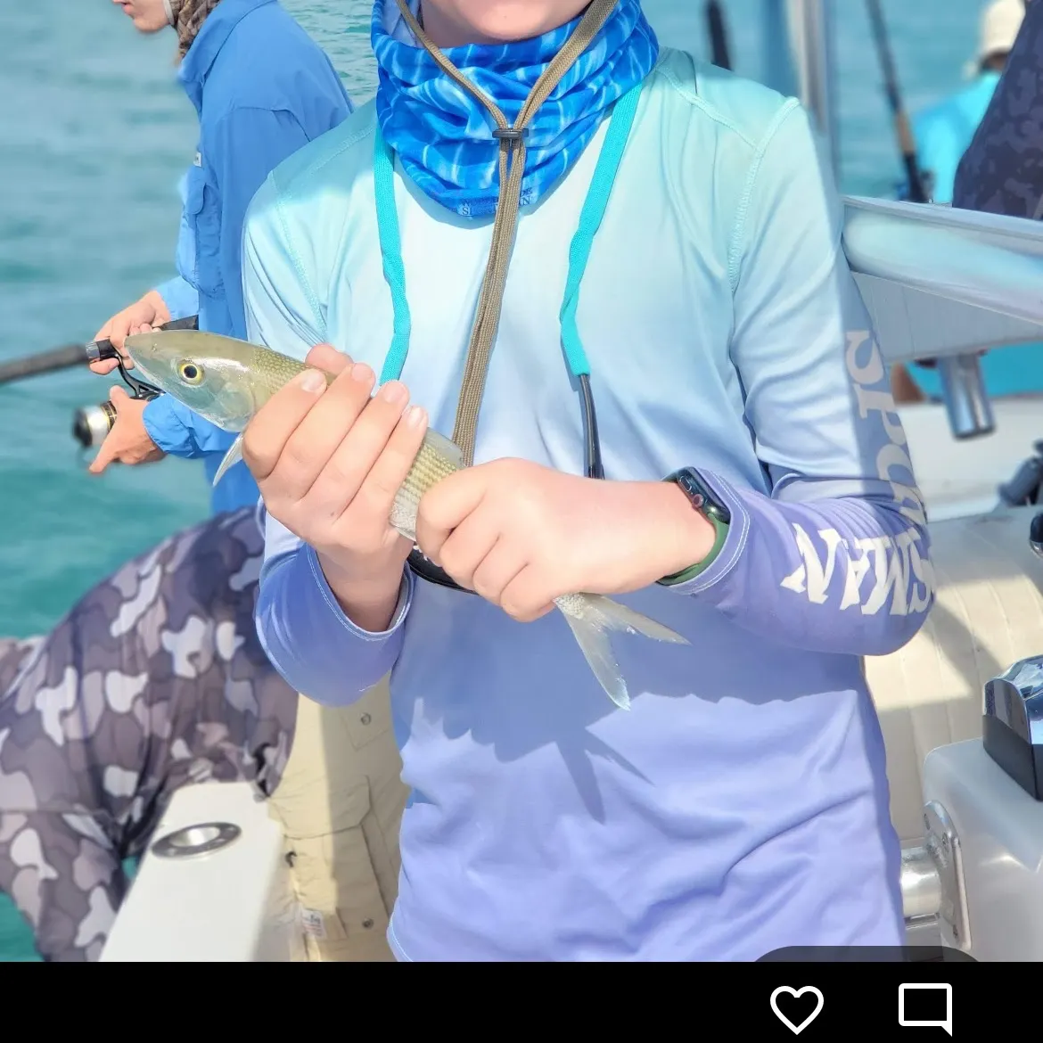 The most recent Spotted rose snapper catches on Fishbrain