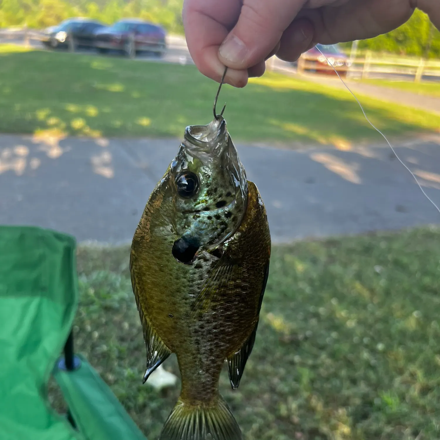 catch