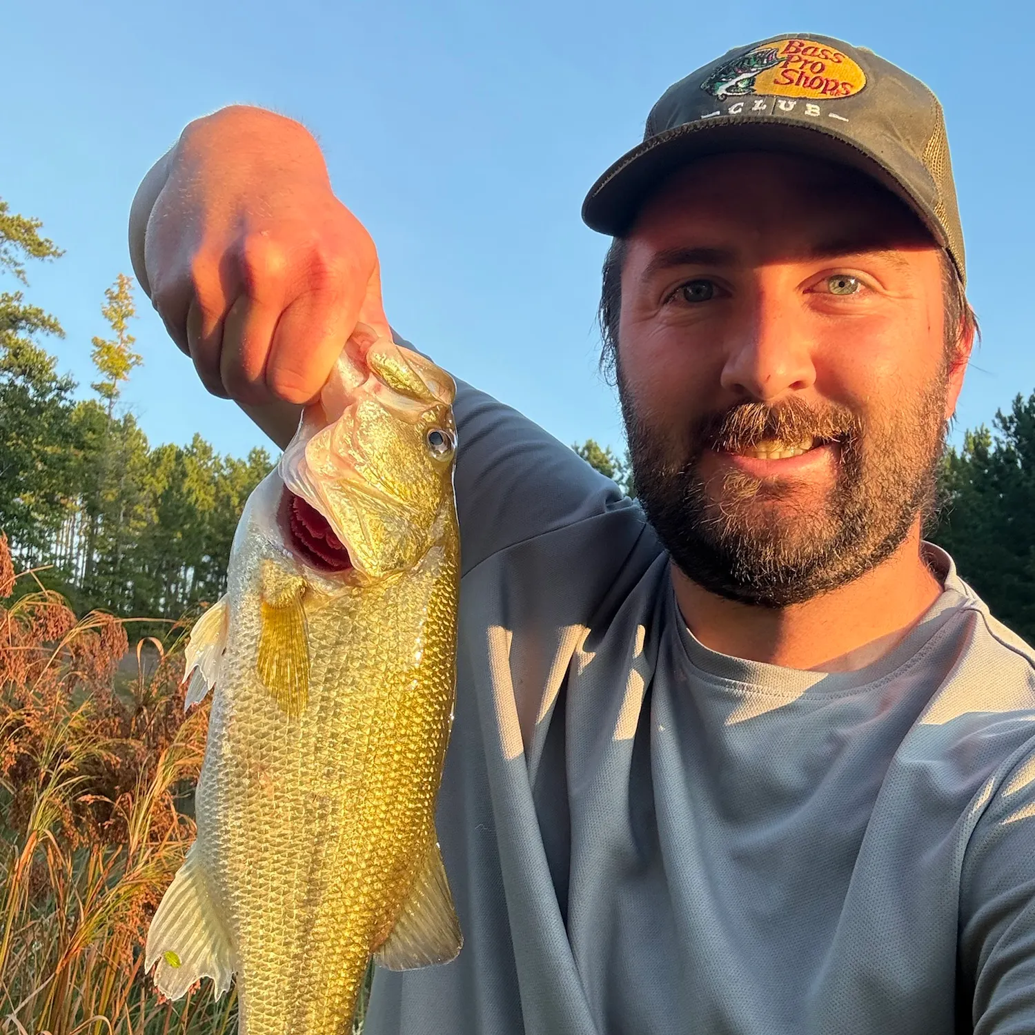 Largemouth bass caught on Fishbrain