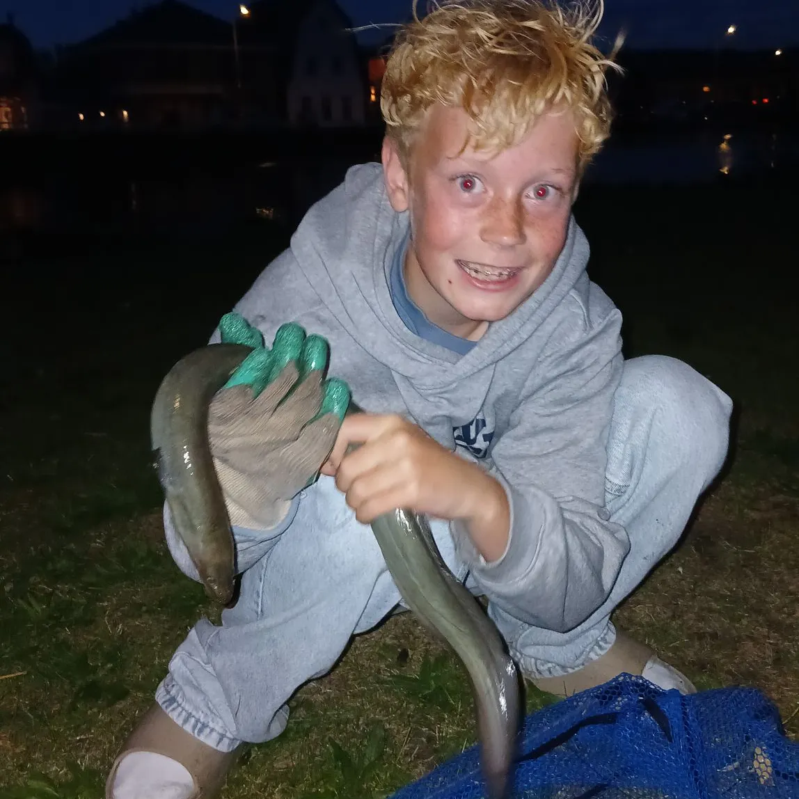 European eel caught on Fishbrain