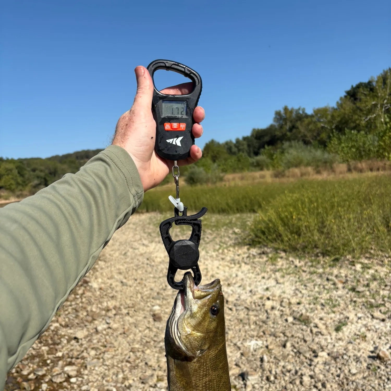 Smallmouth bass caught on Fishbrain