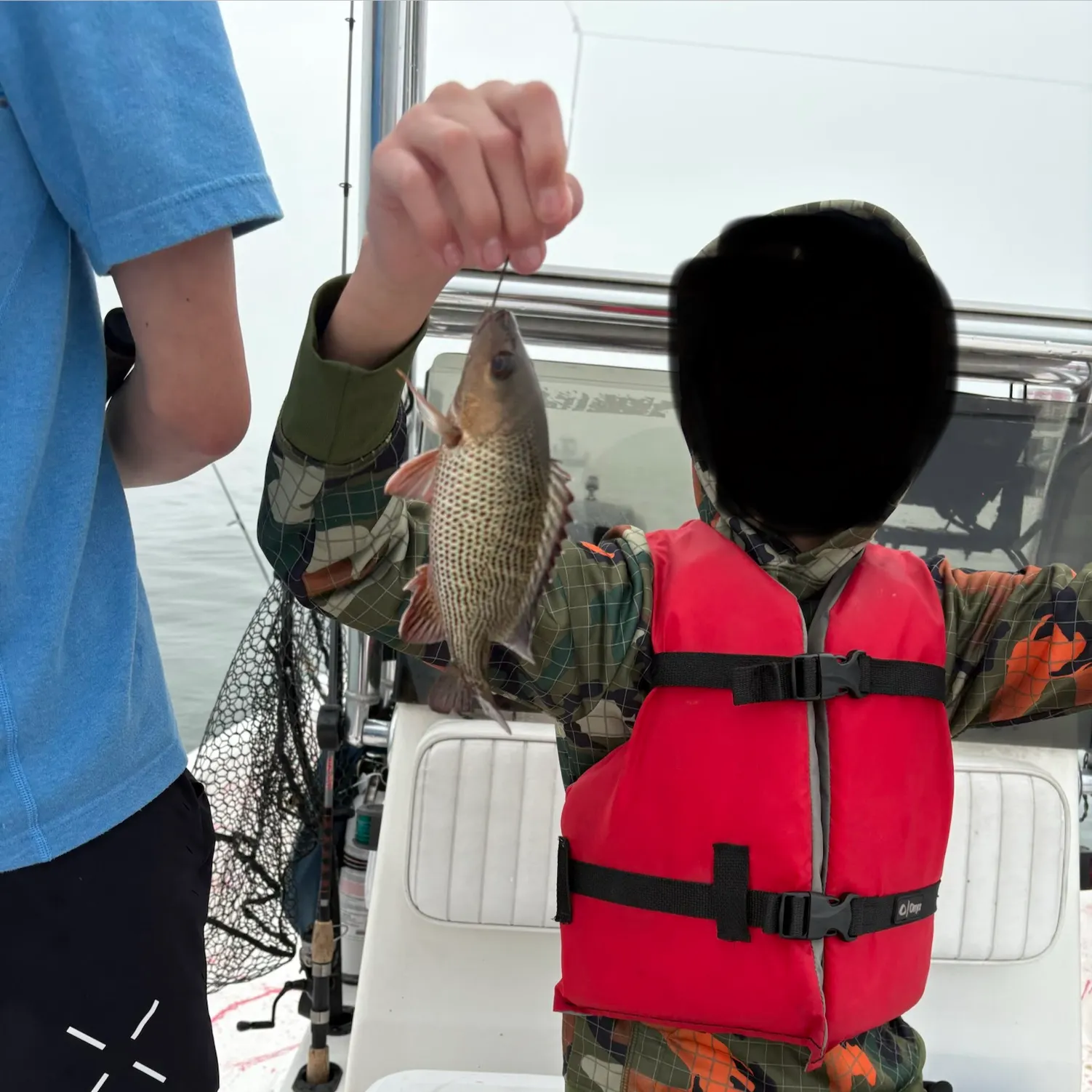 The most recent Mangrove snapper catches on Fishbrain