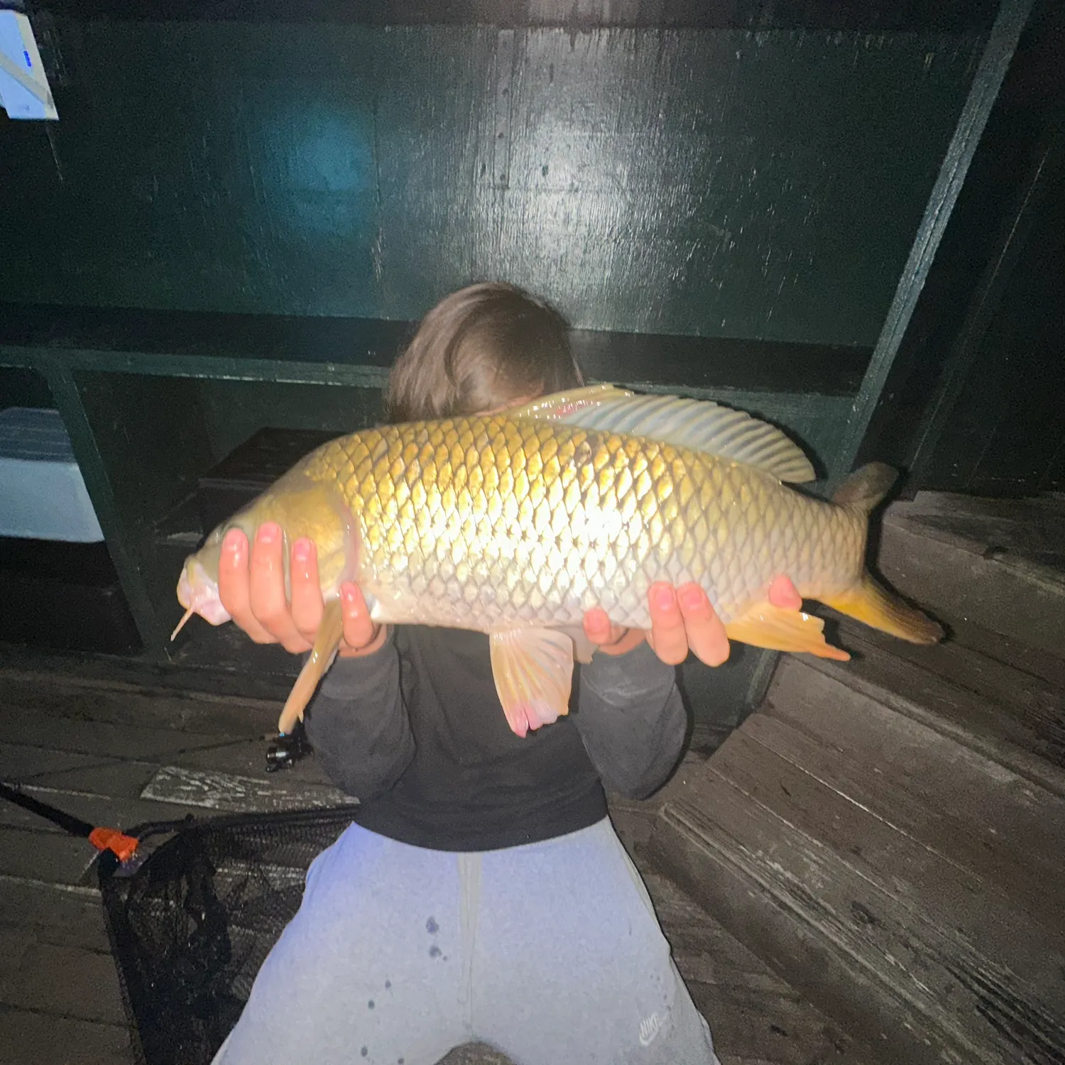 Common carp caught on Fishbrain