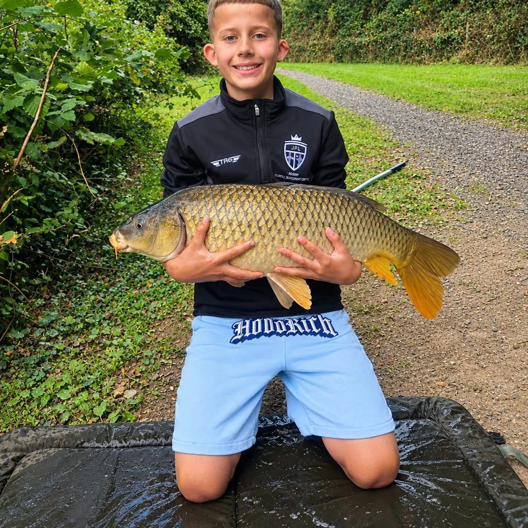 Common carp caught on Fishbrain