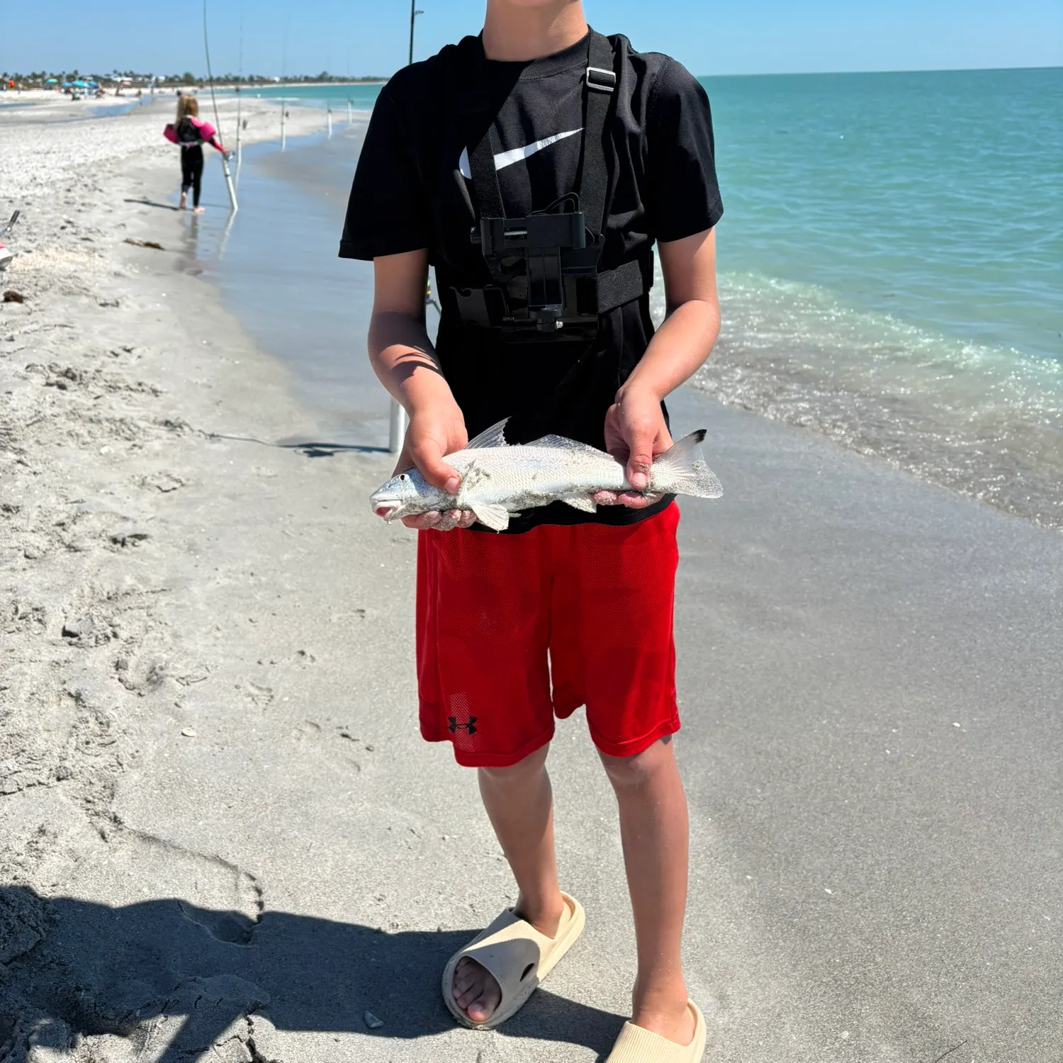 The most recent Gulf kingcroaker catches on Fishbrain