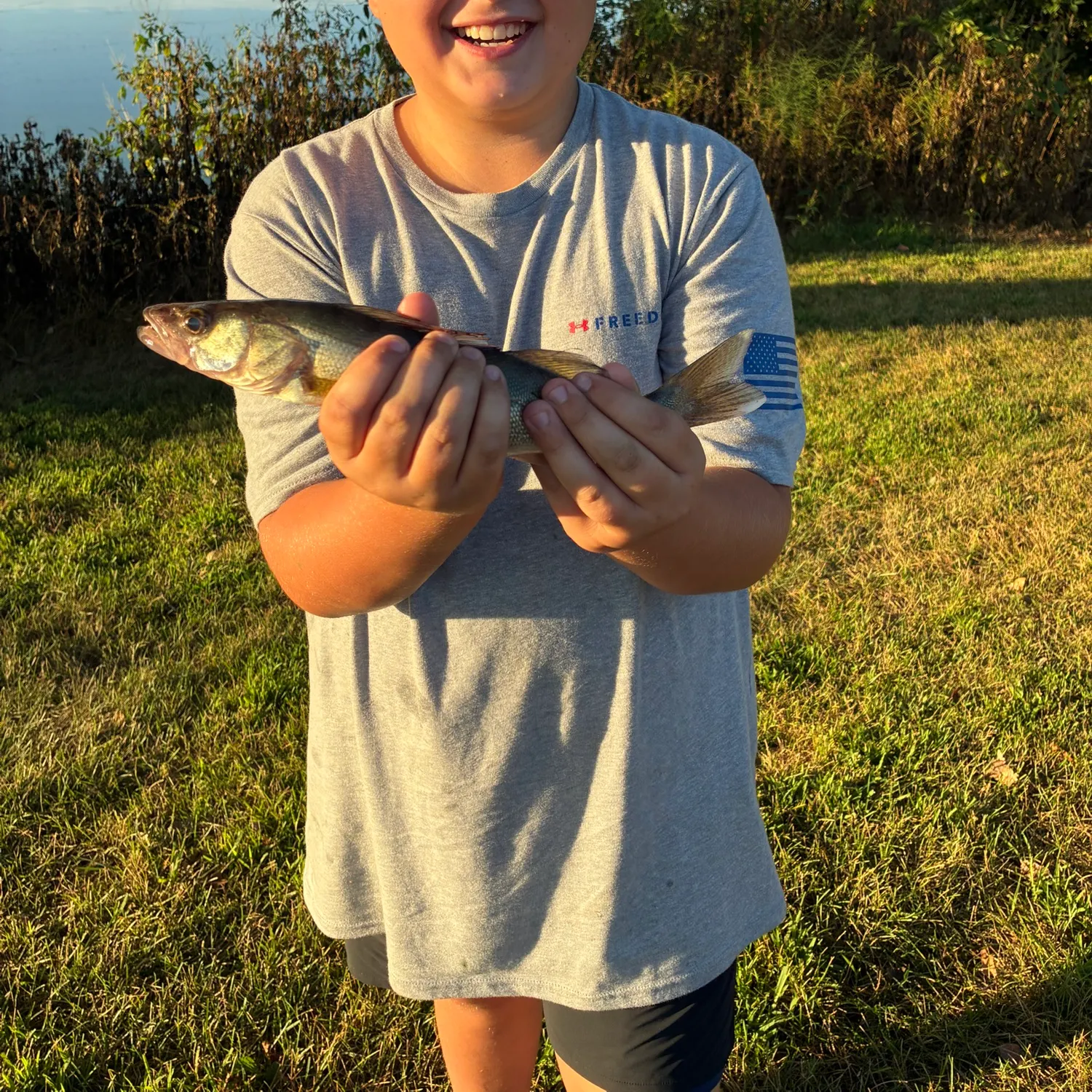 Walleye caught on Fishbrain