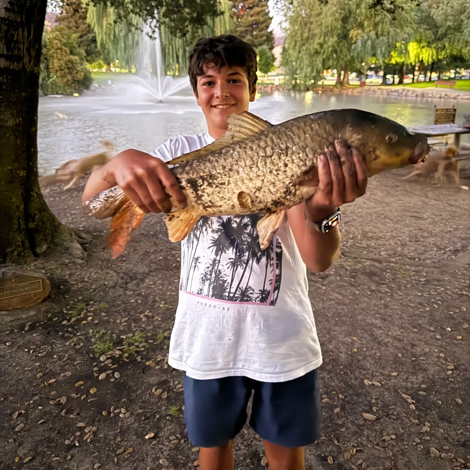recently logged catches