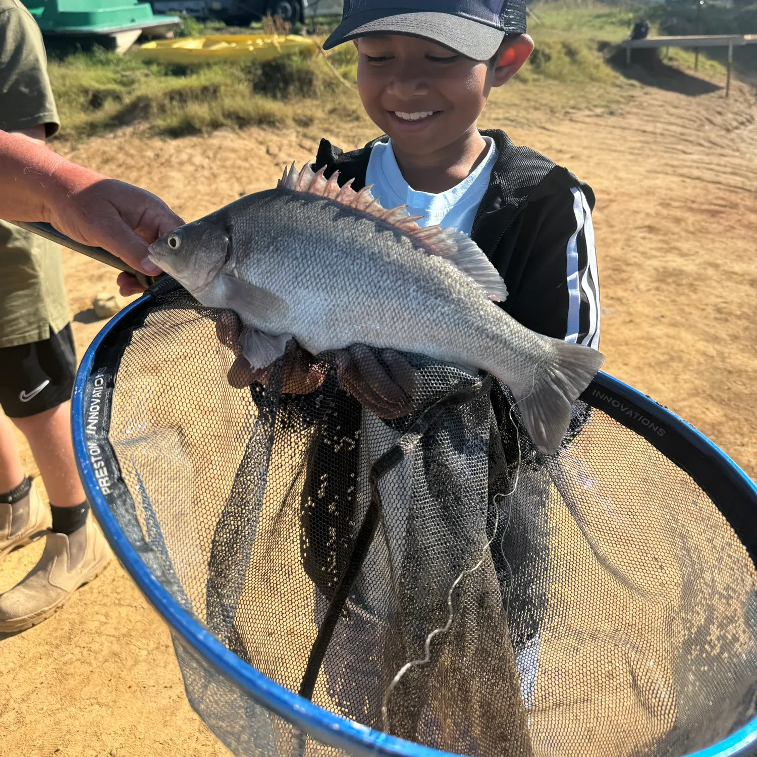 The most recent Bidyan perch catches on Fishbrain