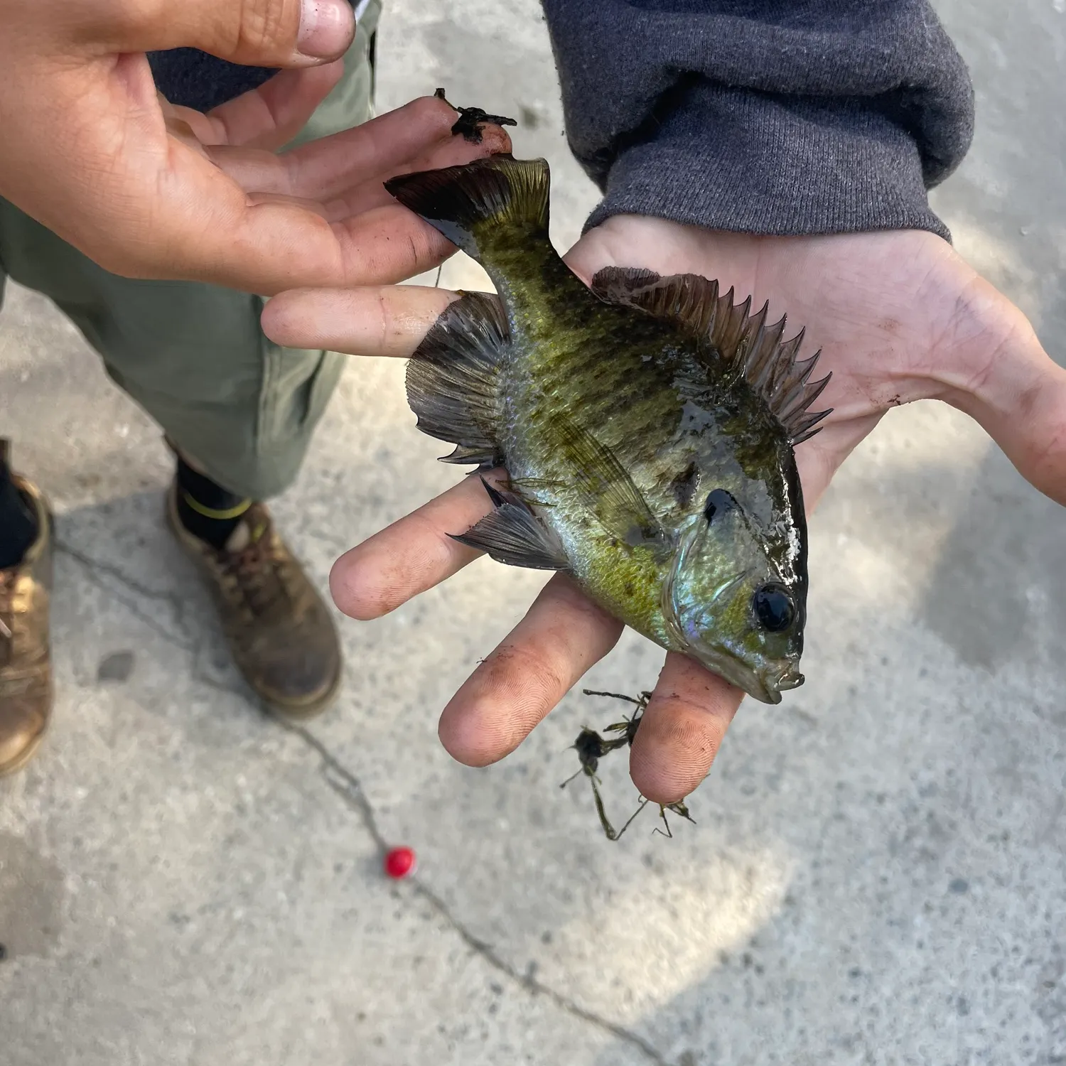 catch