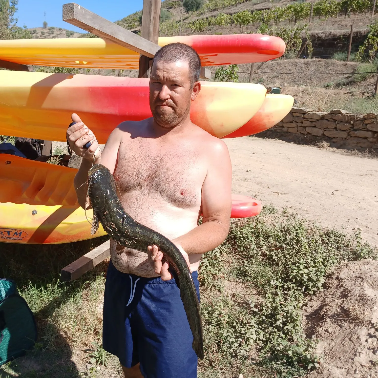 Wels catfish caught on Fishbrain