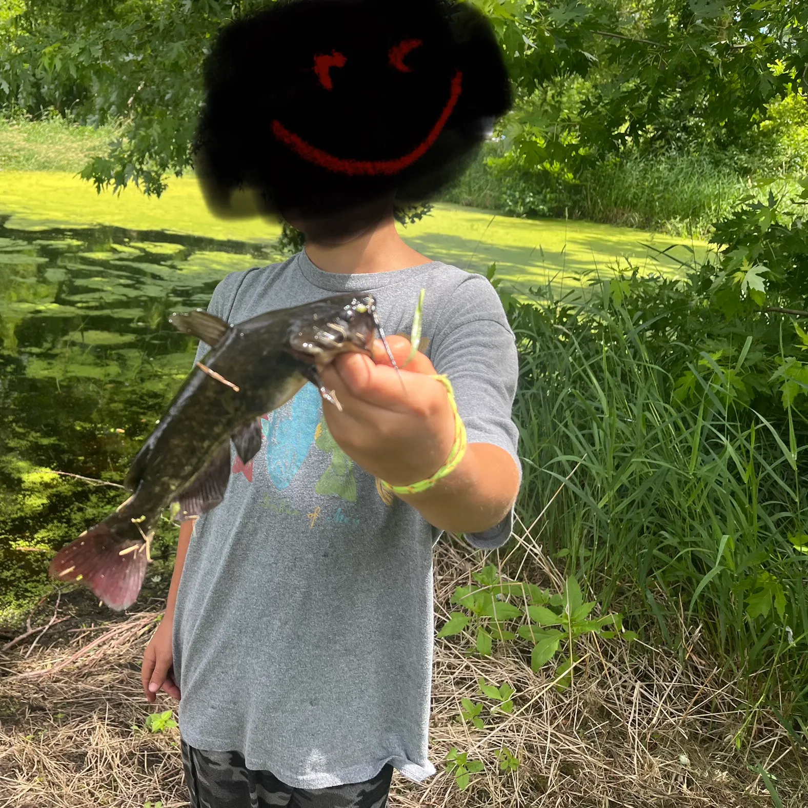 The most recent Black bullhead catches on Fishbrain