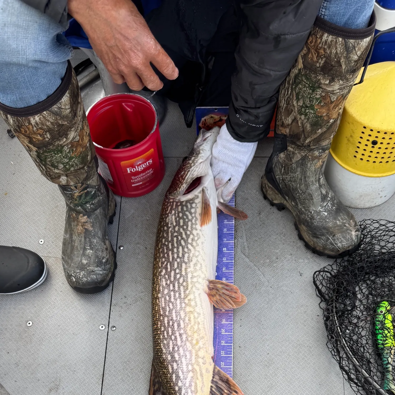Northern pike caught on Fishbrain