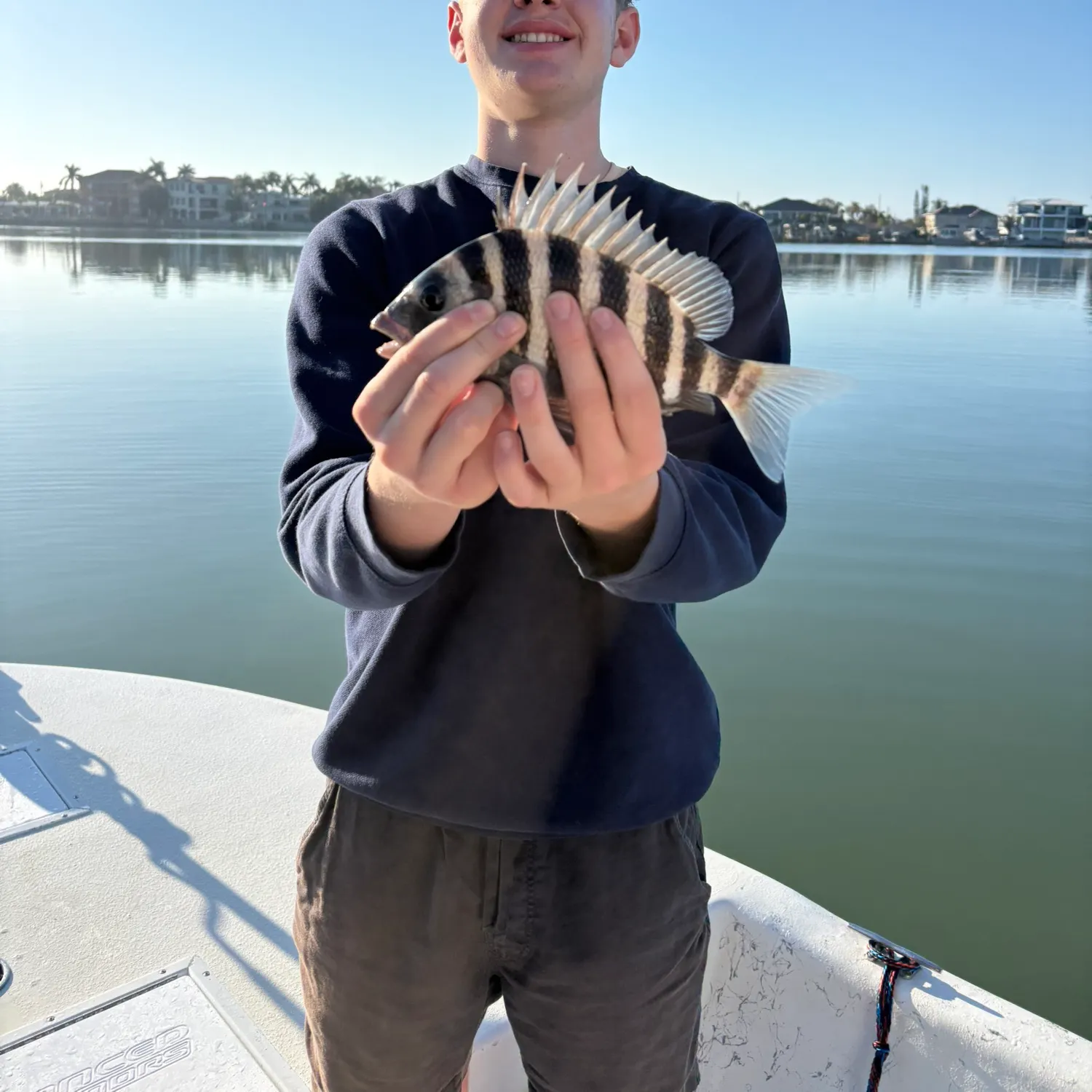 The most recent Sheepshead catches on Fishbrain