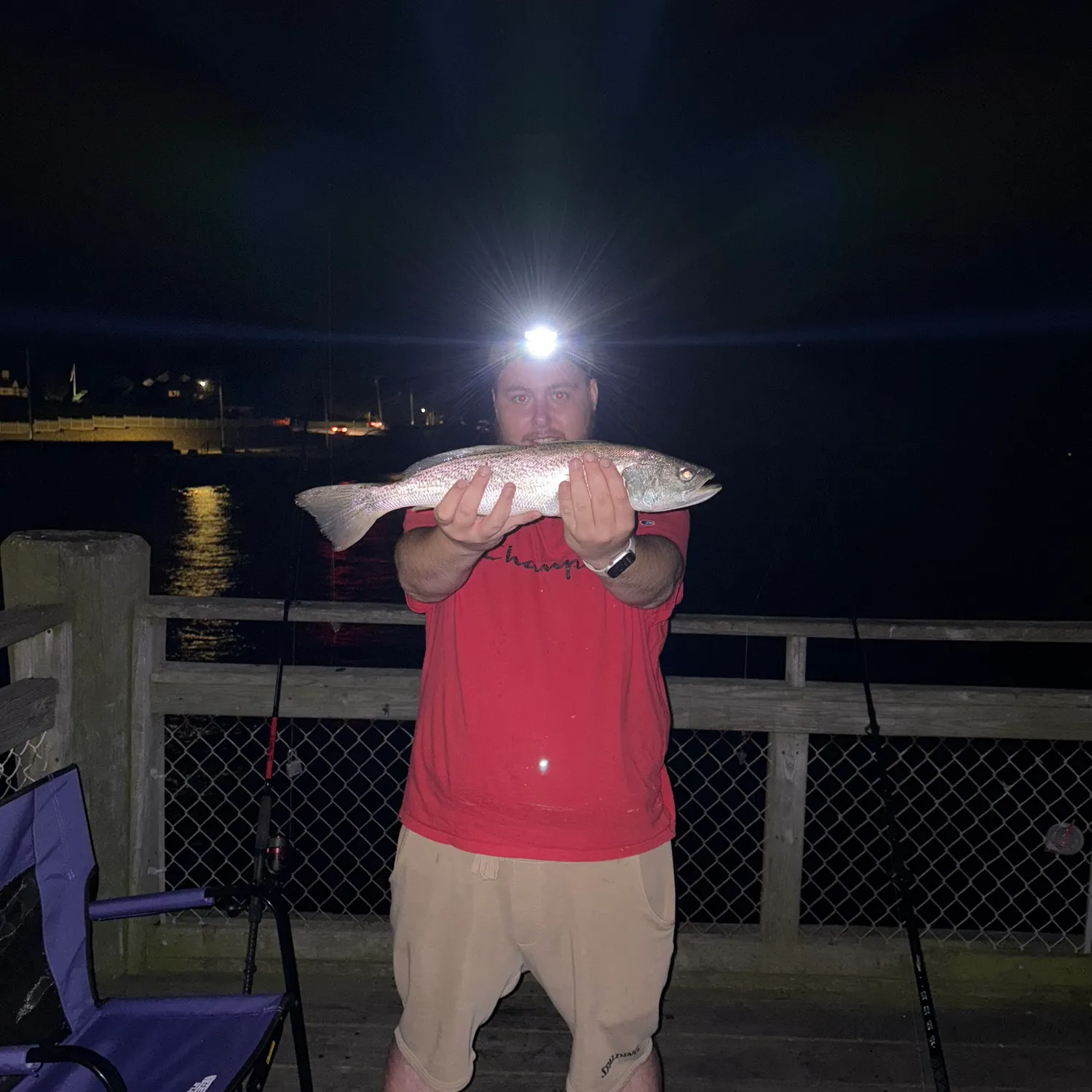 most liked catch image