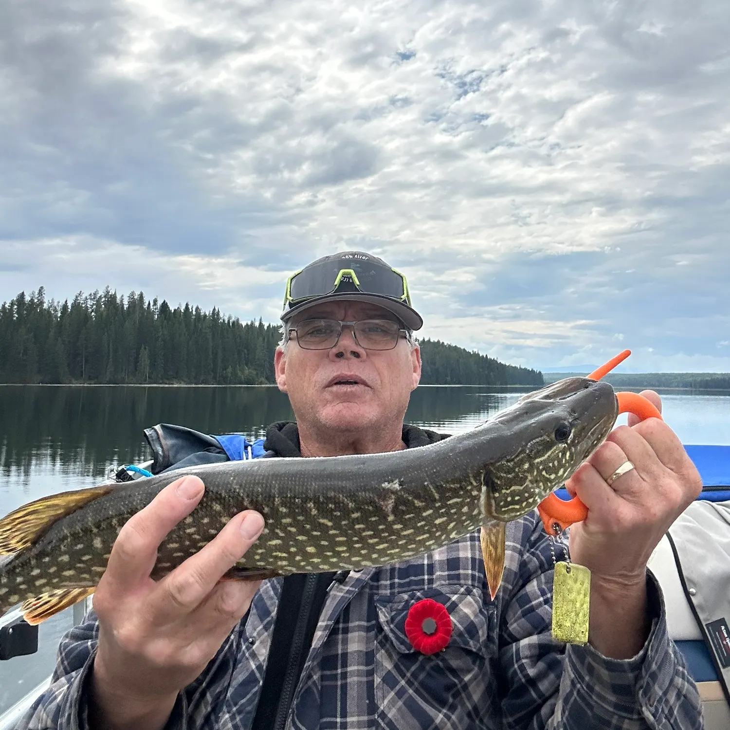 Northern pike caught on Fishbrain