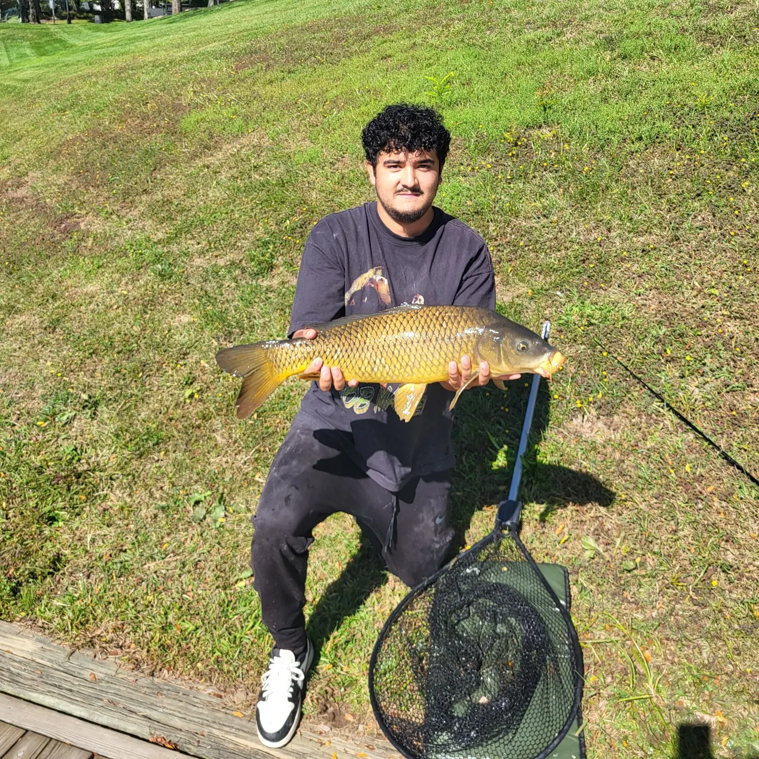 Common carp caught on Fishbrain