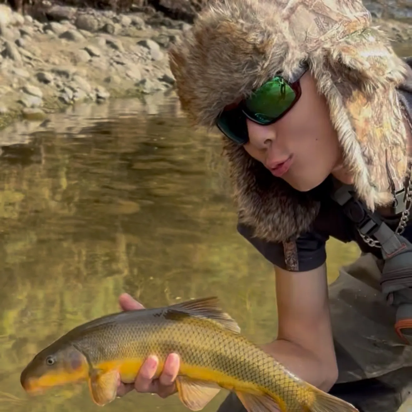 The most recent Sonora sucker catches on Fishbrain