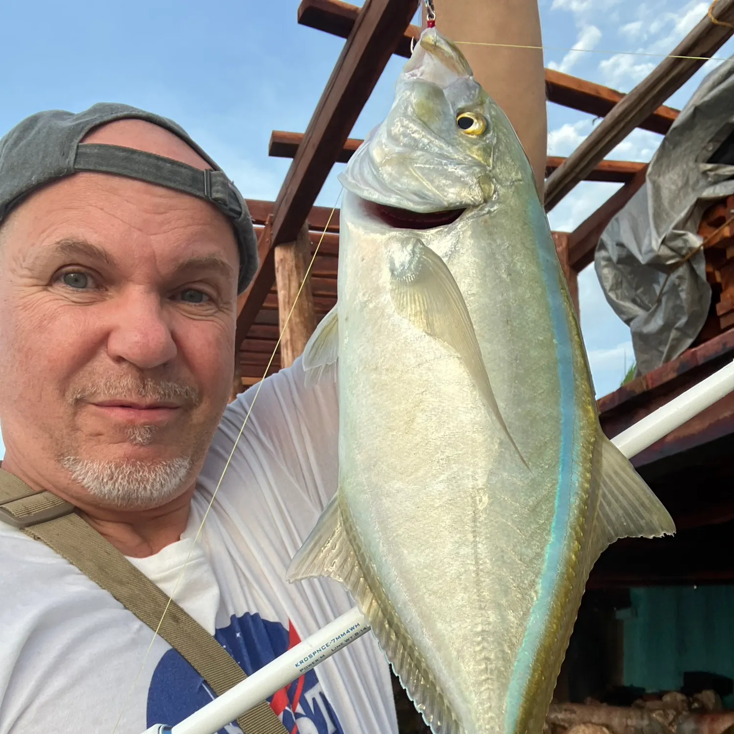 The most recent Yellow jack catches on Fishbrain