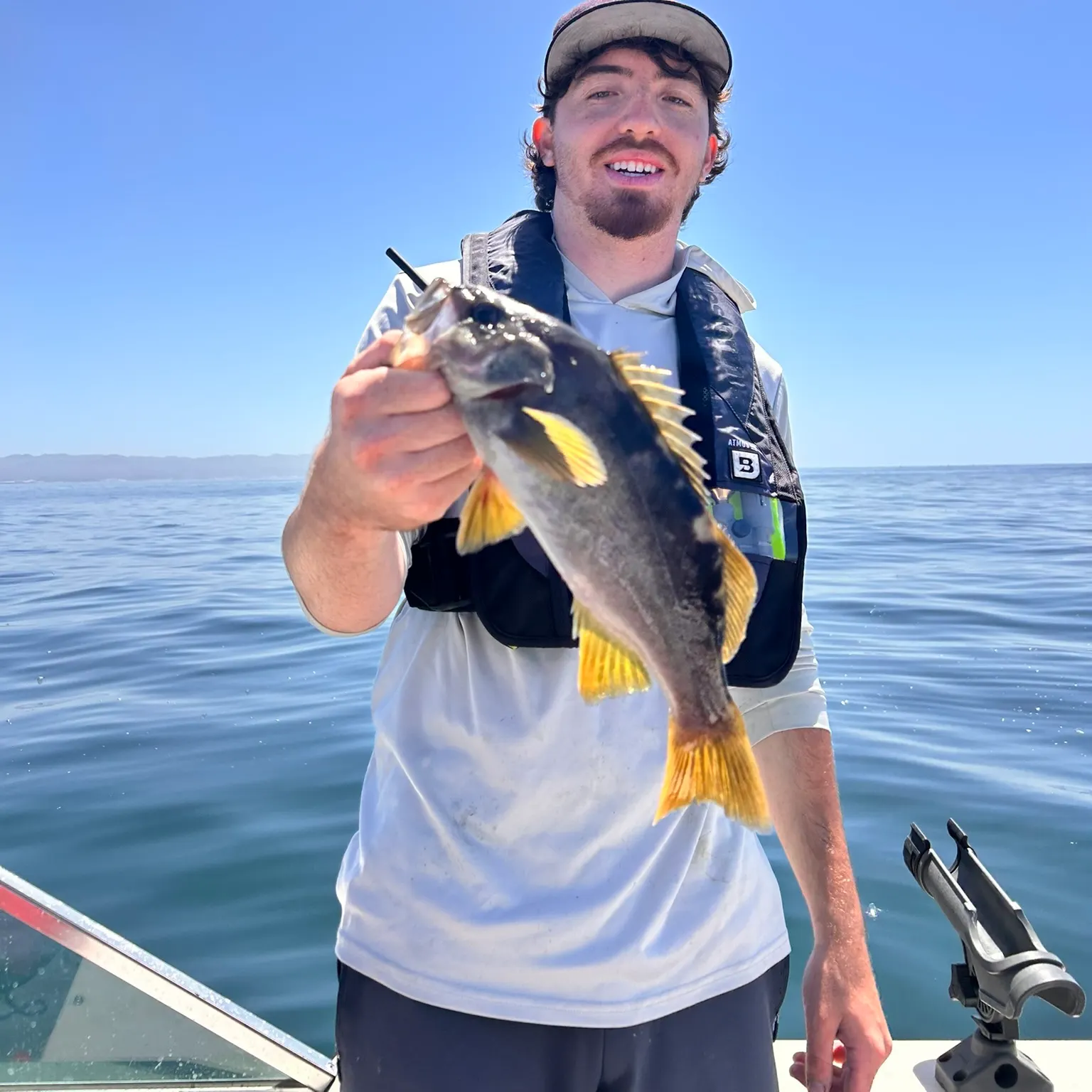 The most recent Olive rockfish catches on Fishbrain