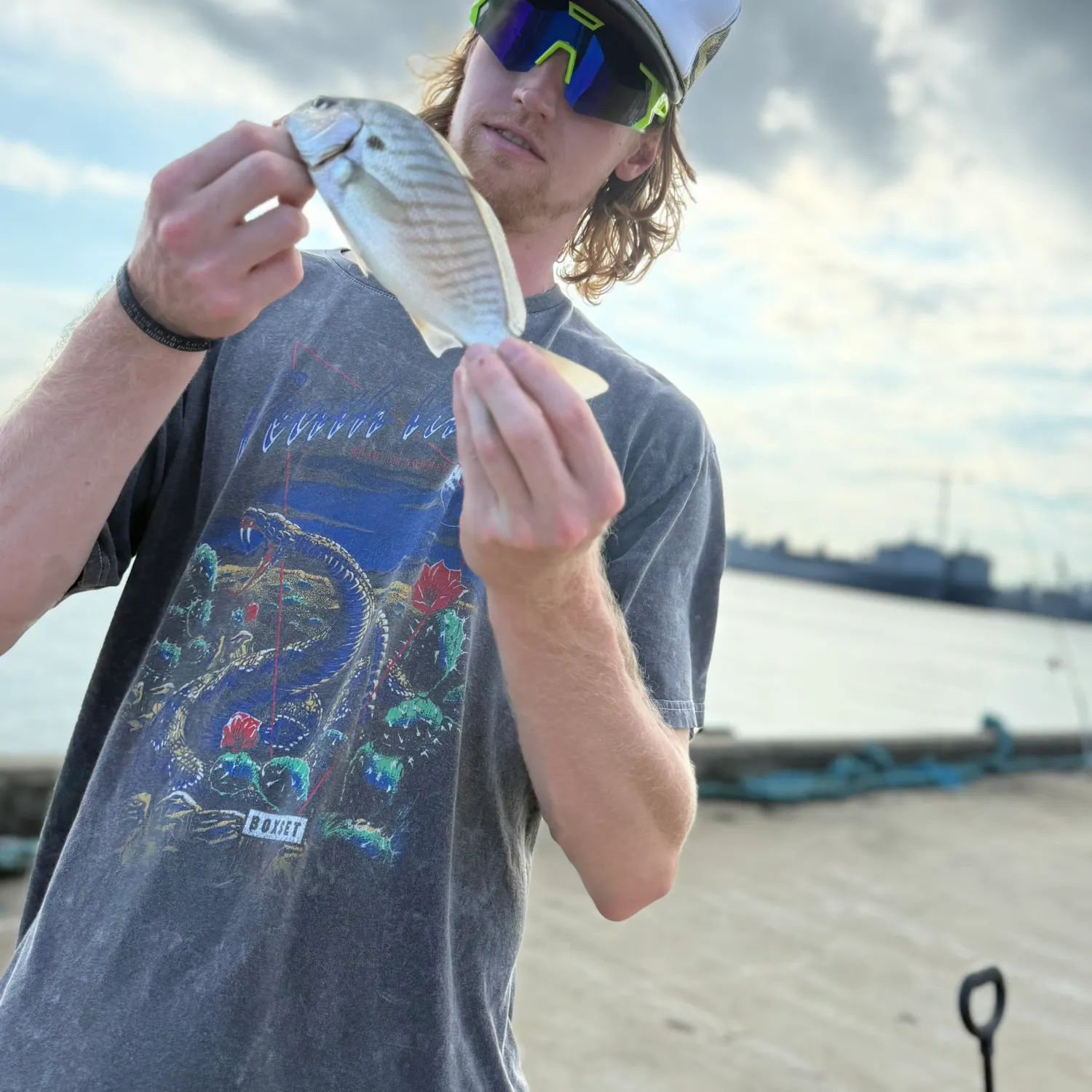 Spot croaker caught on Fishbrain