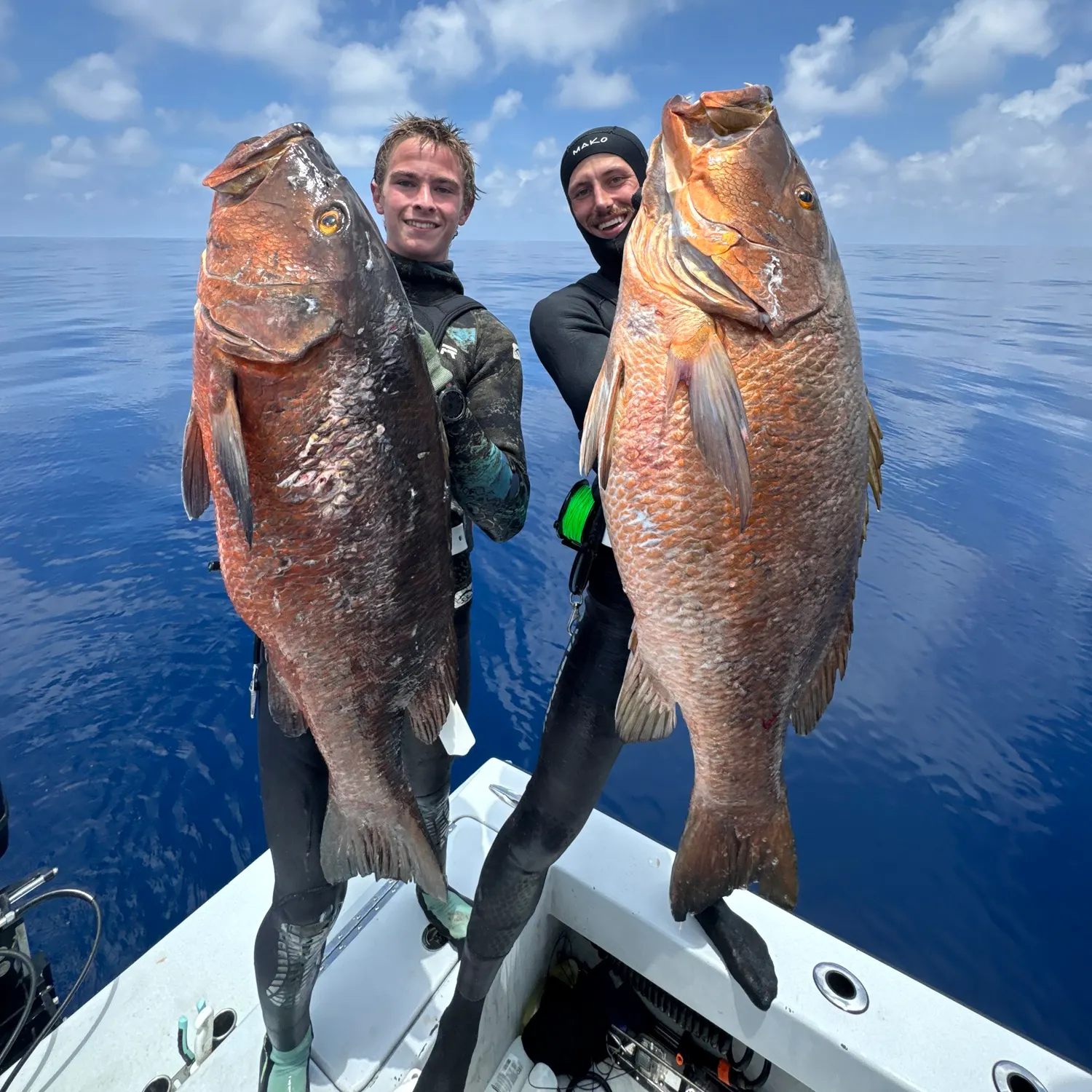 The most recent Cubera snapper catches on Fishbrain
