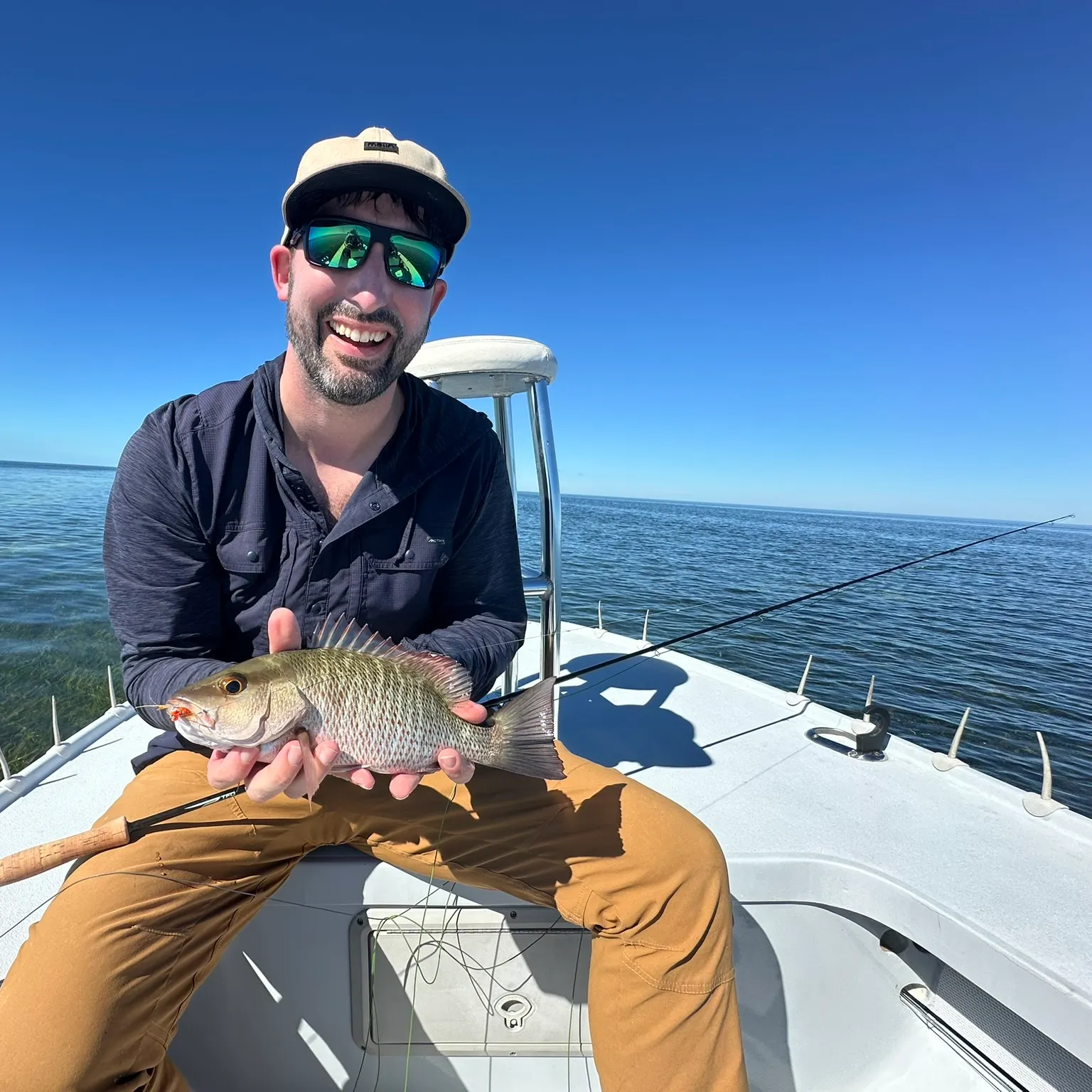 The most recent Mangrove snapper catches on Fishbrain