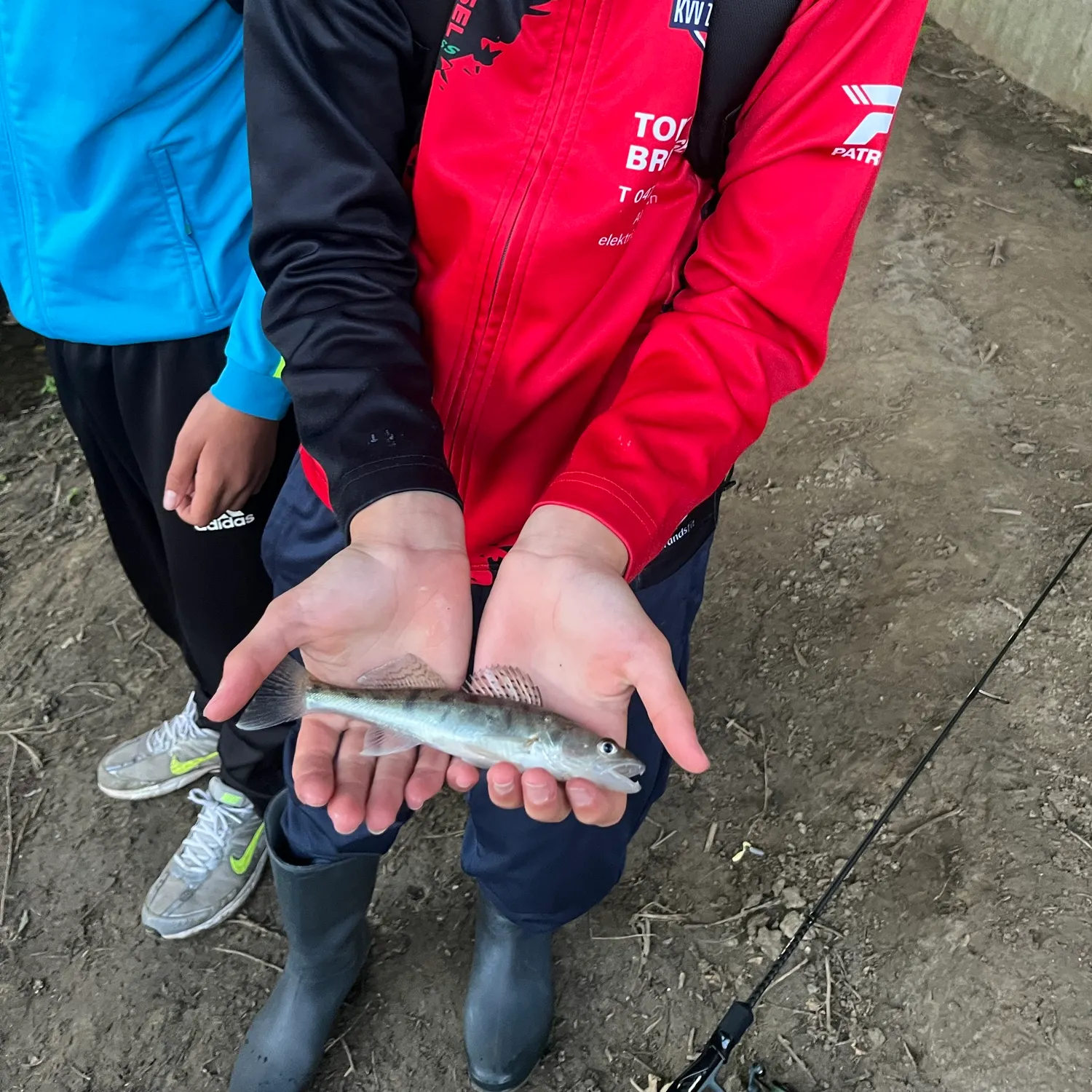 Zander caught on Fishbrain