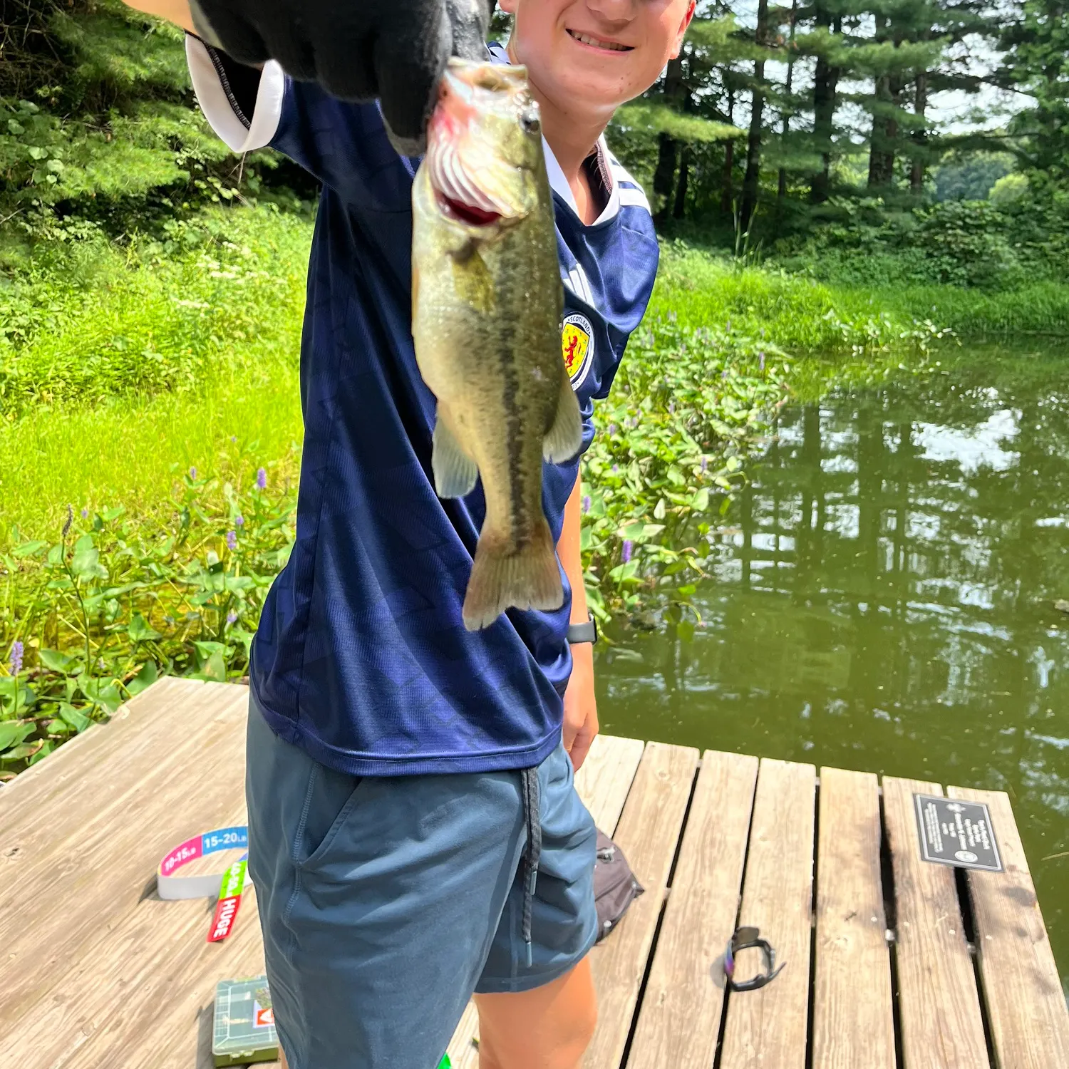 Largemouth bass caught on Fishbrain