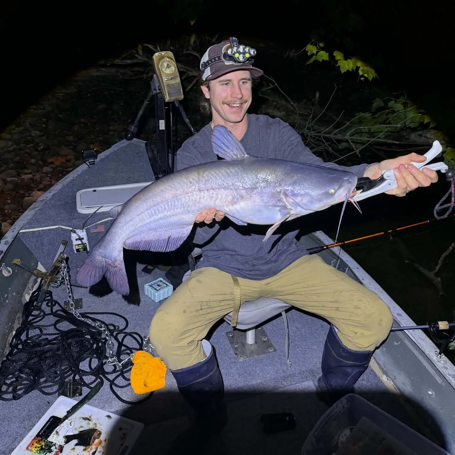 Blue catfish caught on Fishbrain