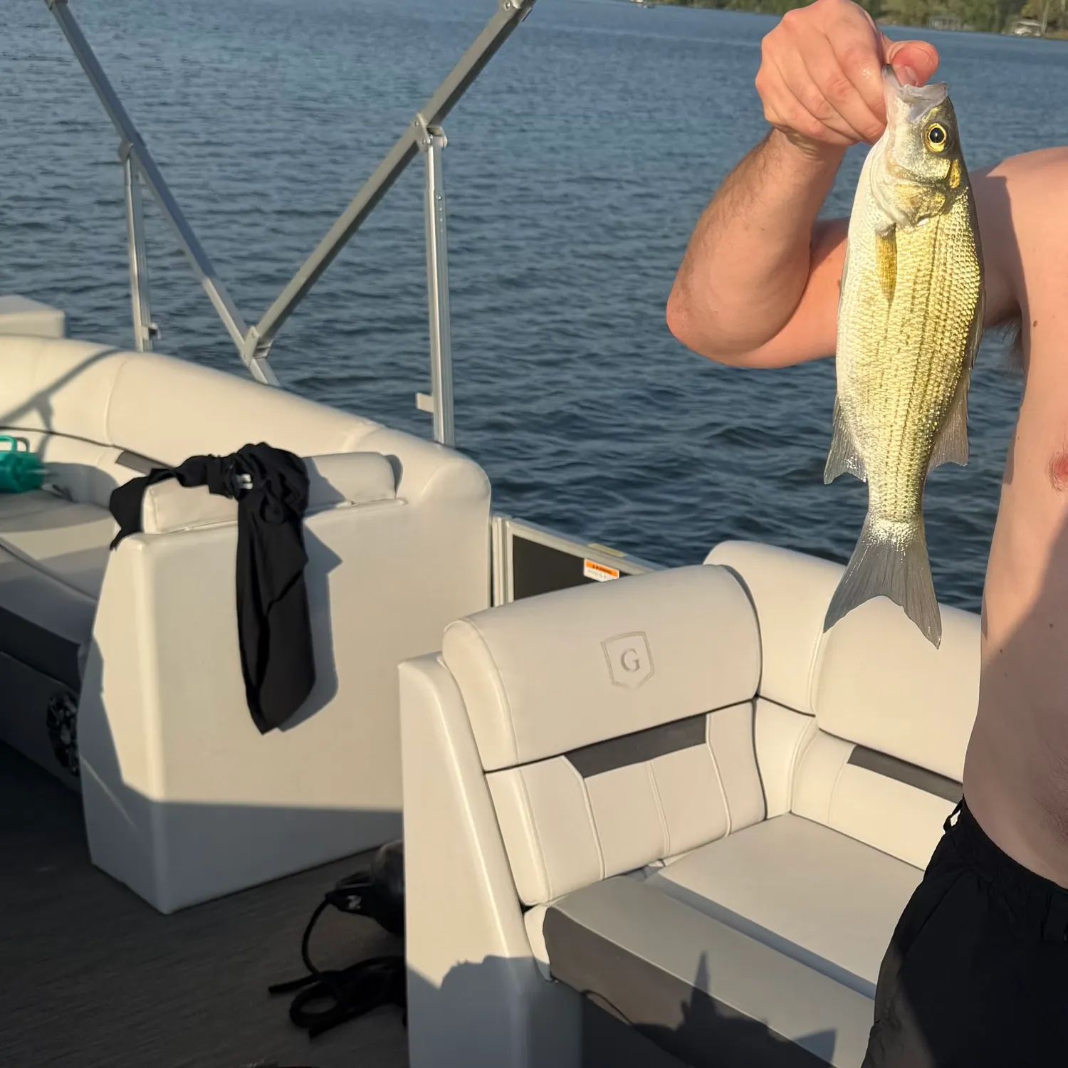 White bass caught on Fishbrain