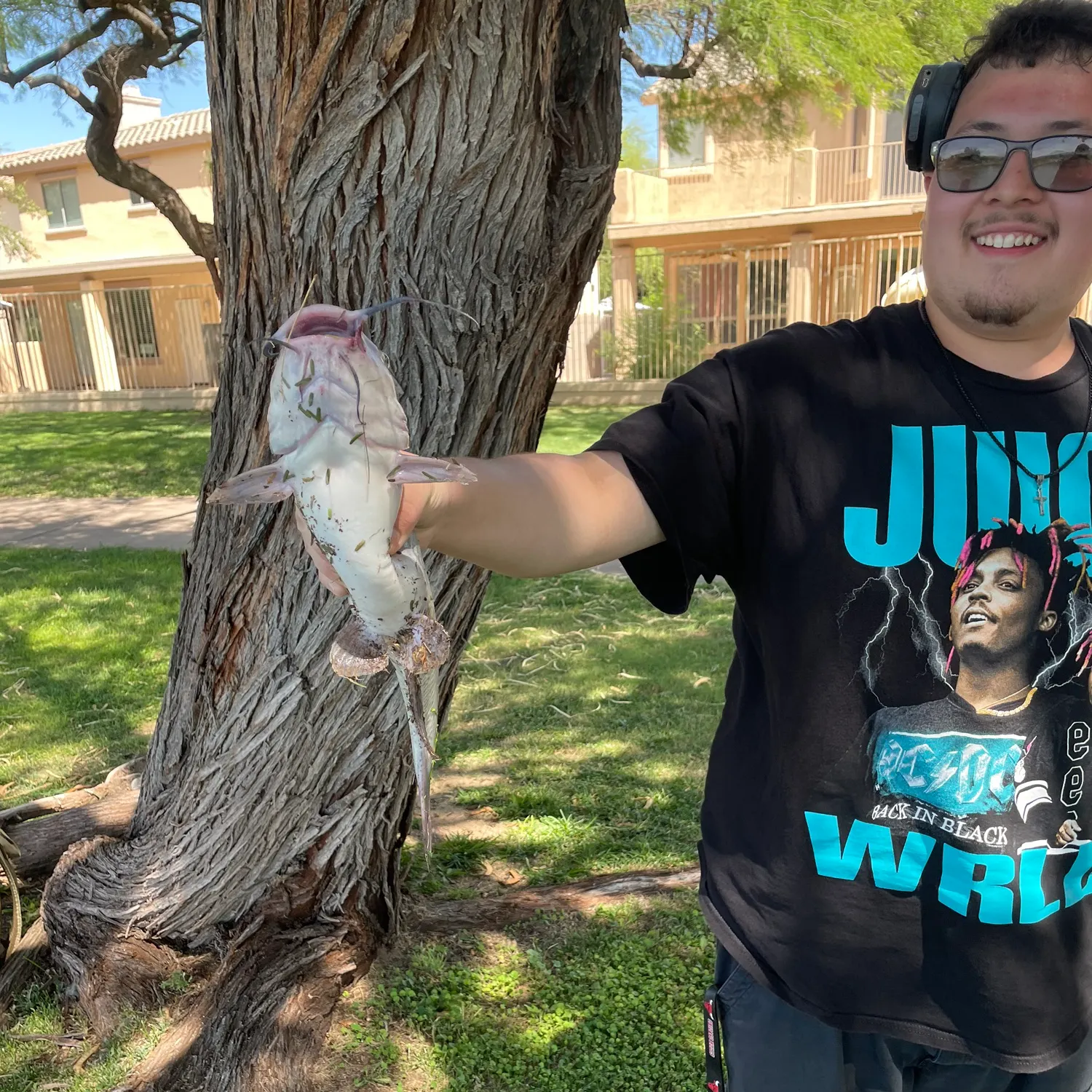 Channel catfish caught on Fishbrain
