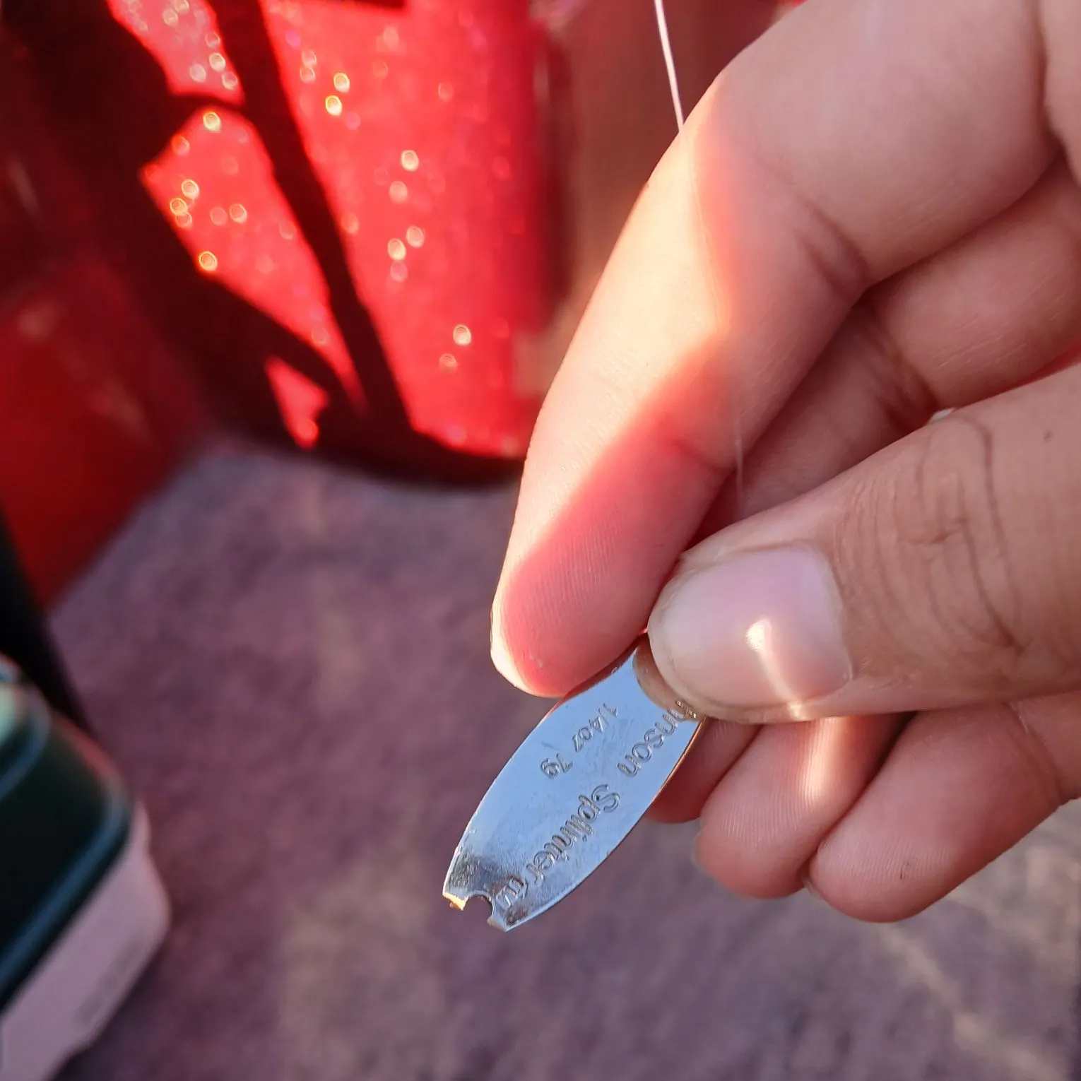 recently logged catches