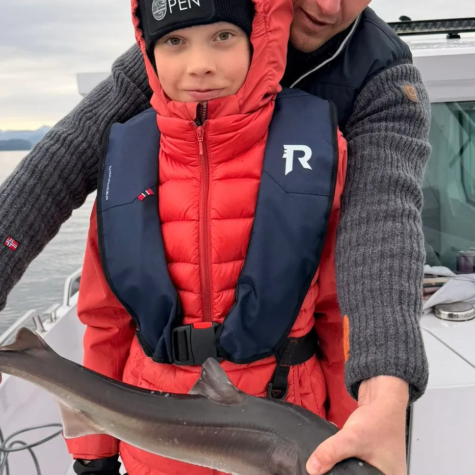 The most recent Northern spiny dogfish catches on Fishbrain