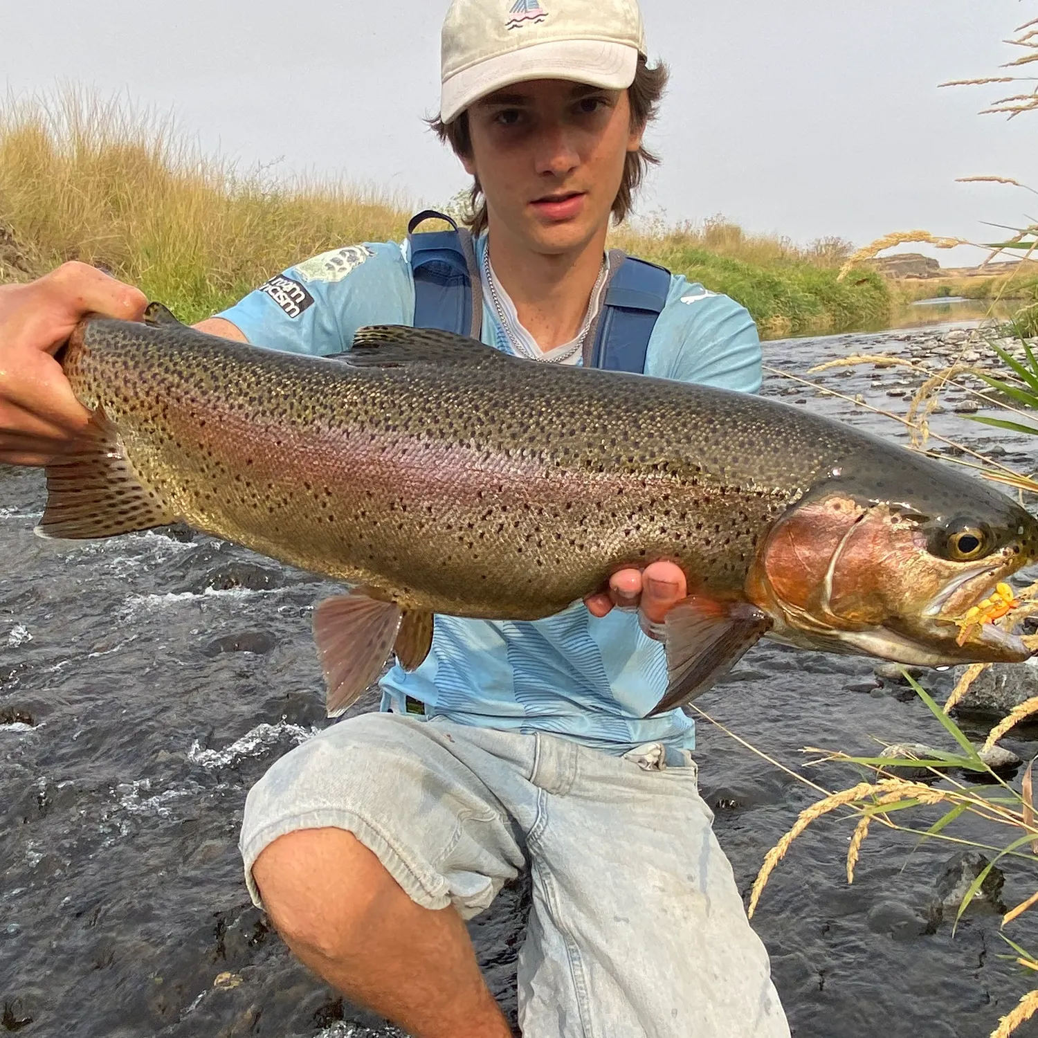 Rainbow trout caught on Fishbrain