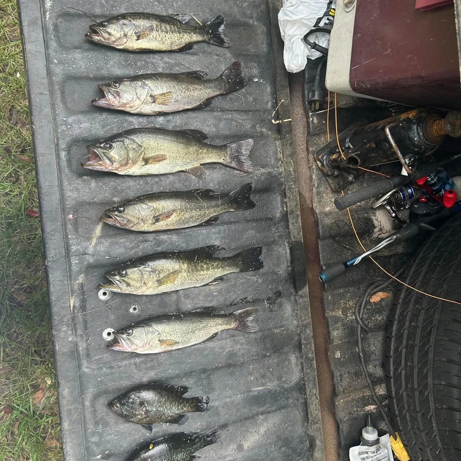 recently logged catches
