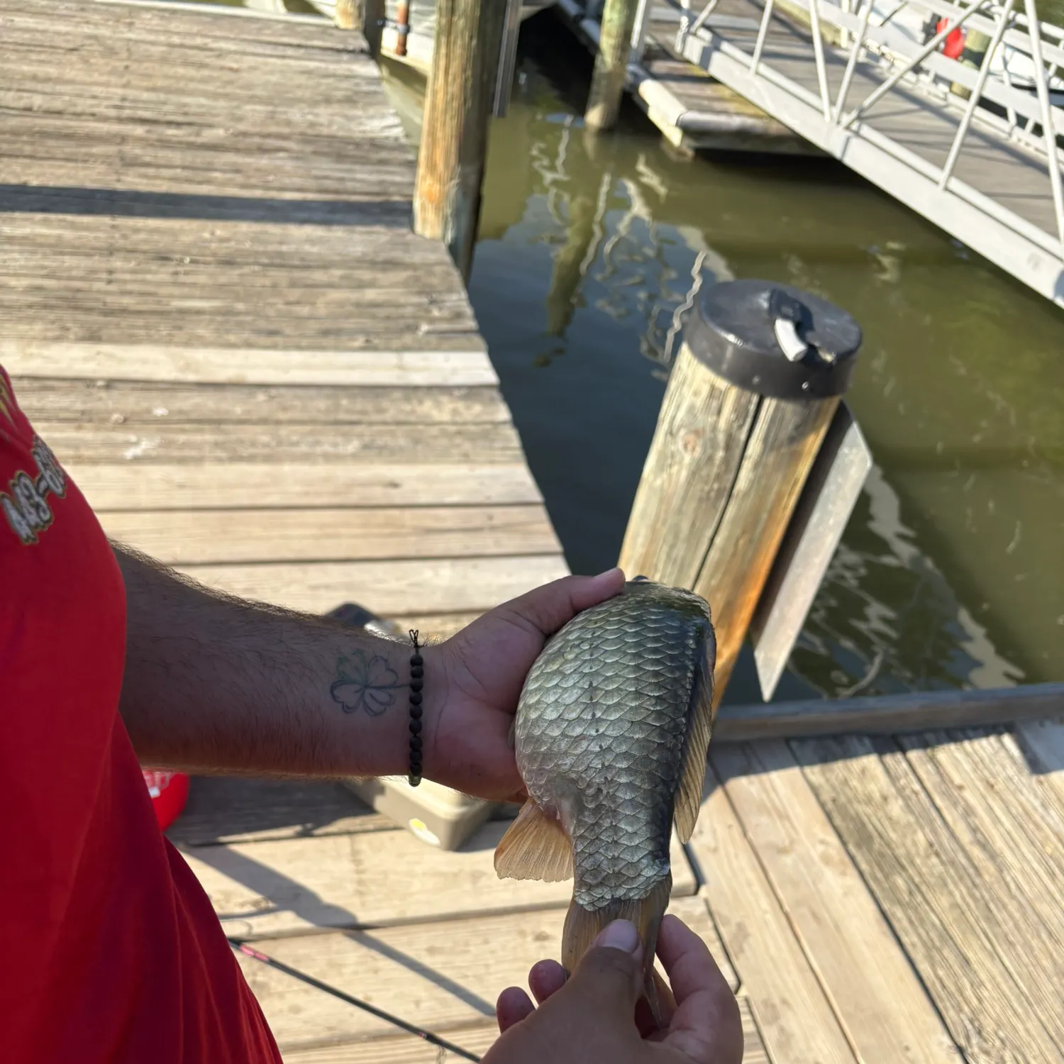 catch