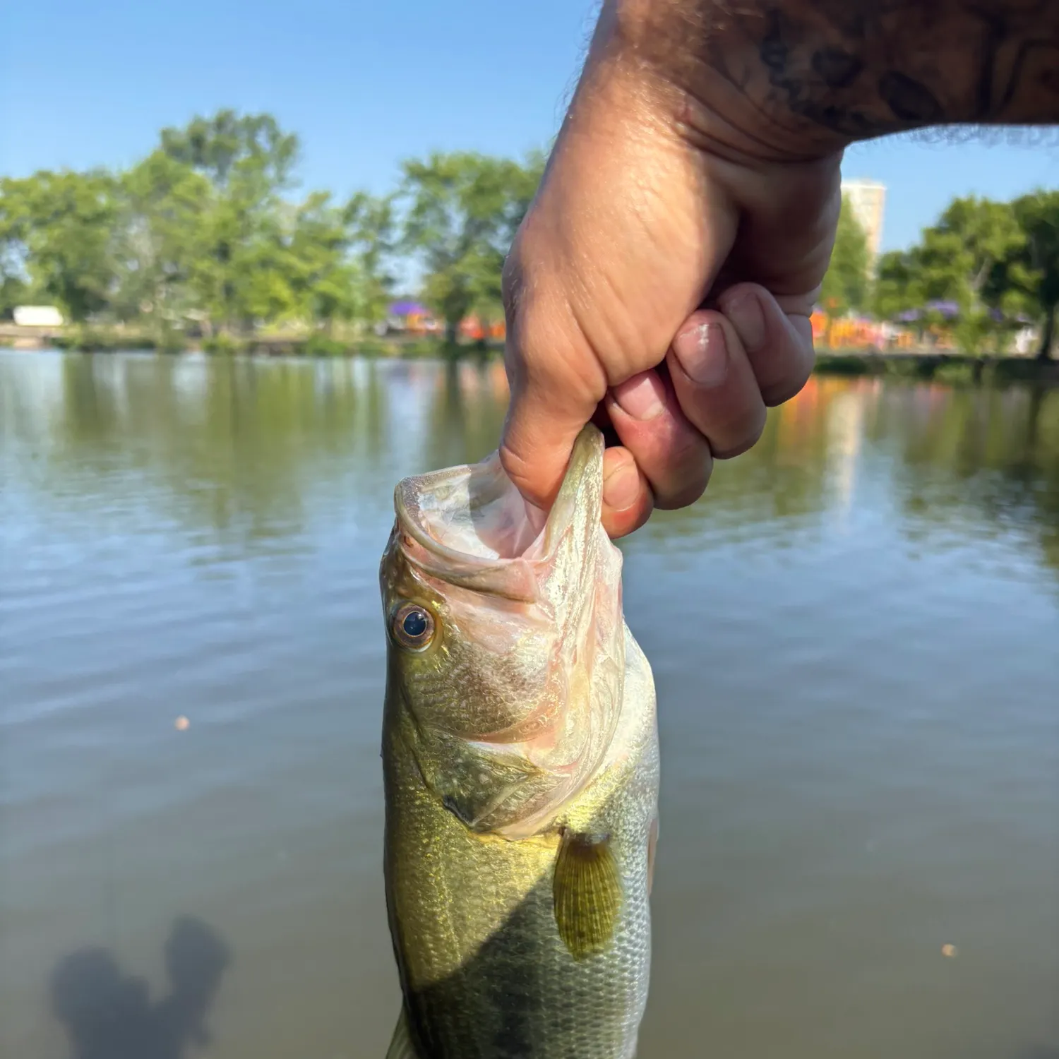 catch