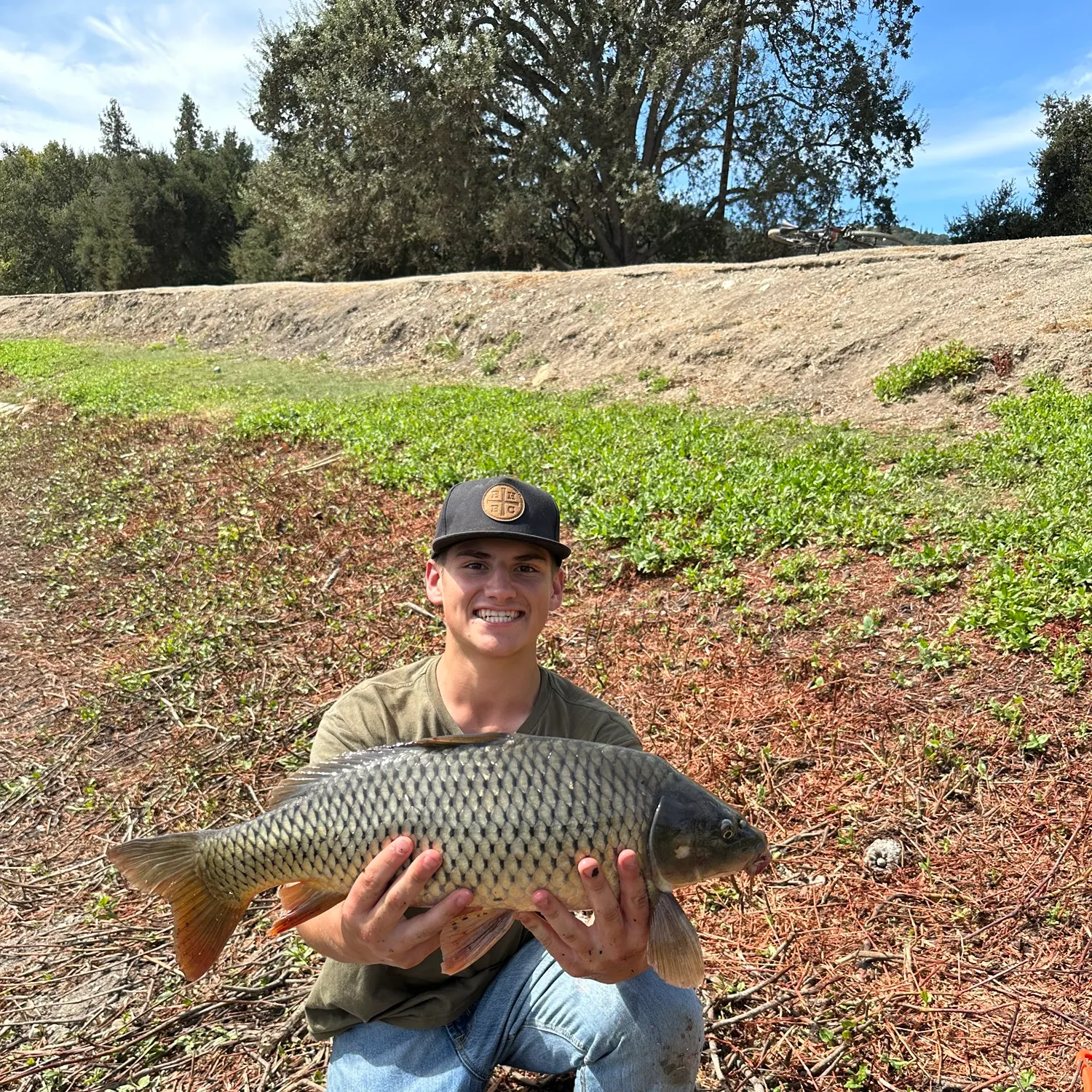 Common carp caught on Fishbrain