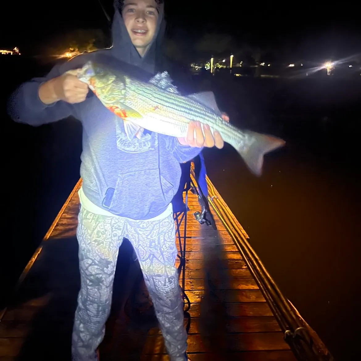 Striped bass caught on Fishbrain