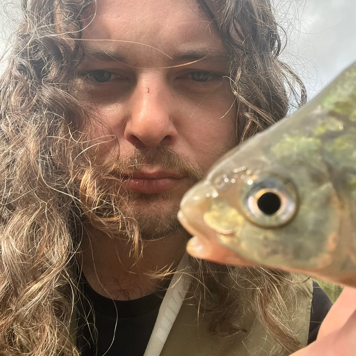 Common bream caught on Fishbrain