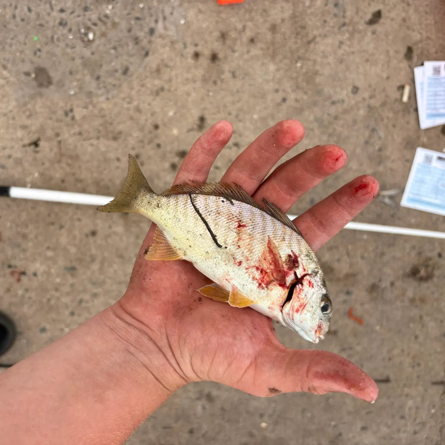 catch